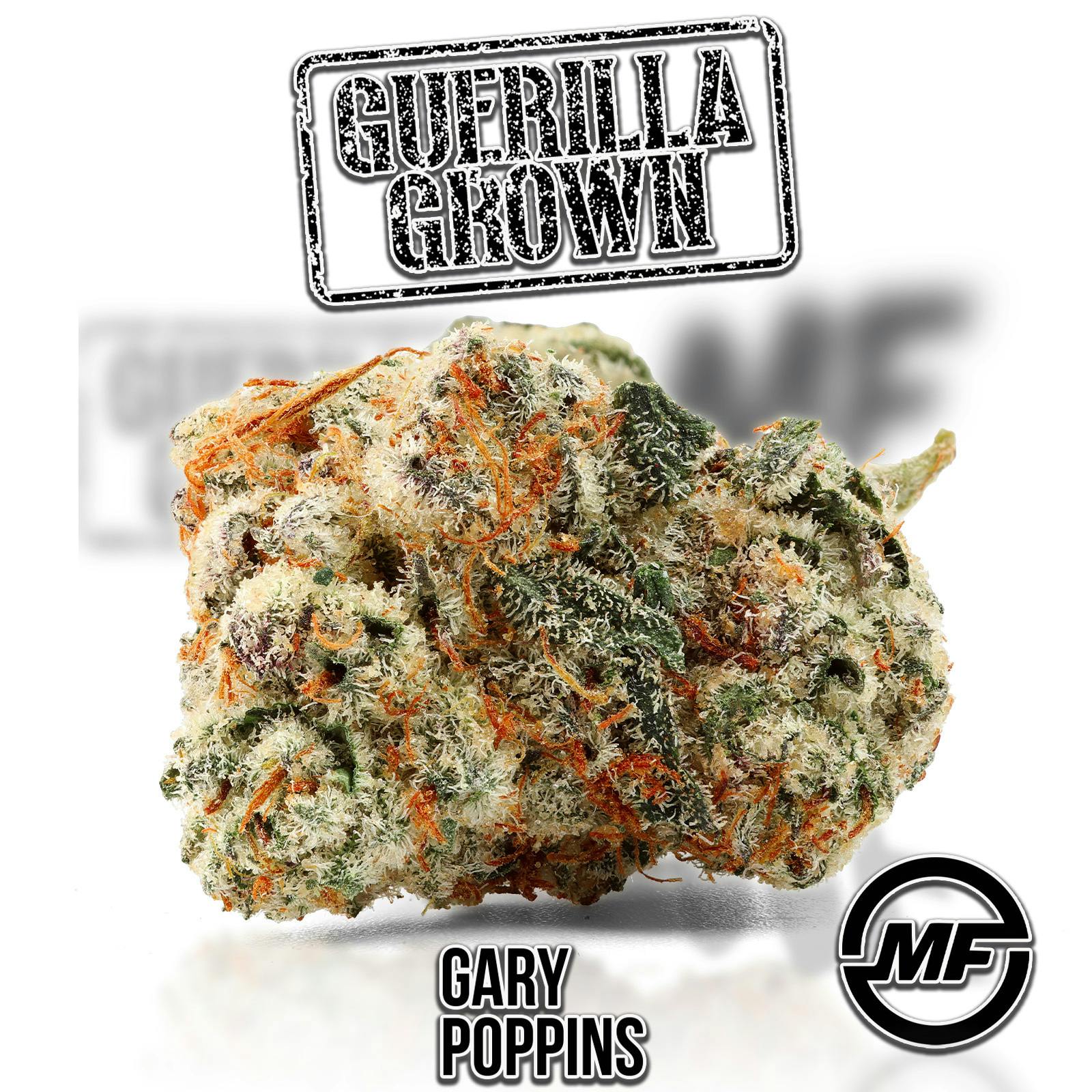 Guerilla Grown | Gary Poppins