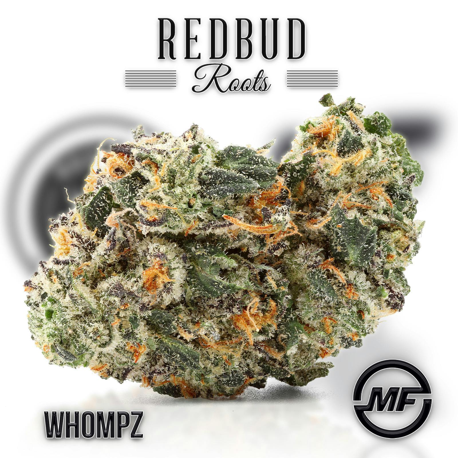 Redbud Roots | Whompz
