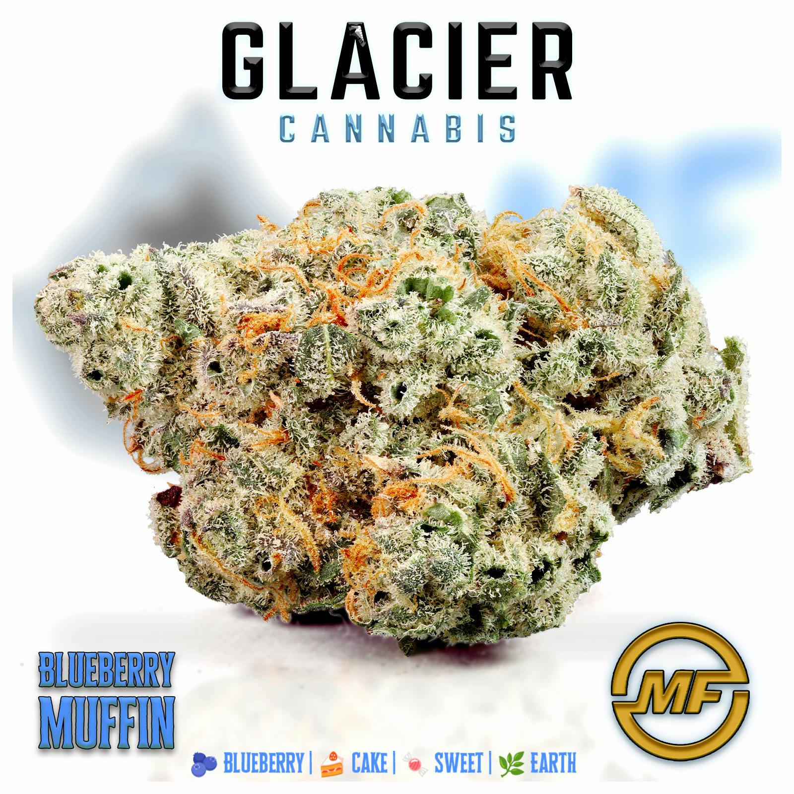 Glacier Cannabis | Blueberry Muffin | Small Buds