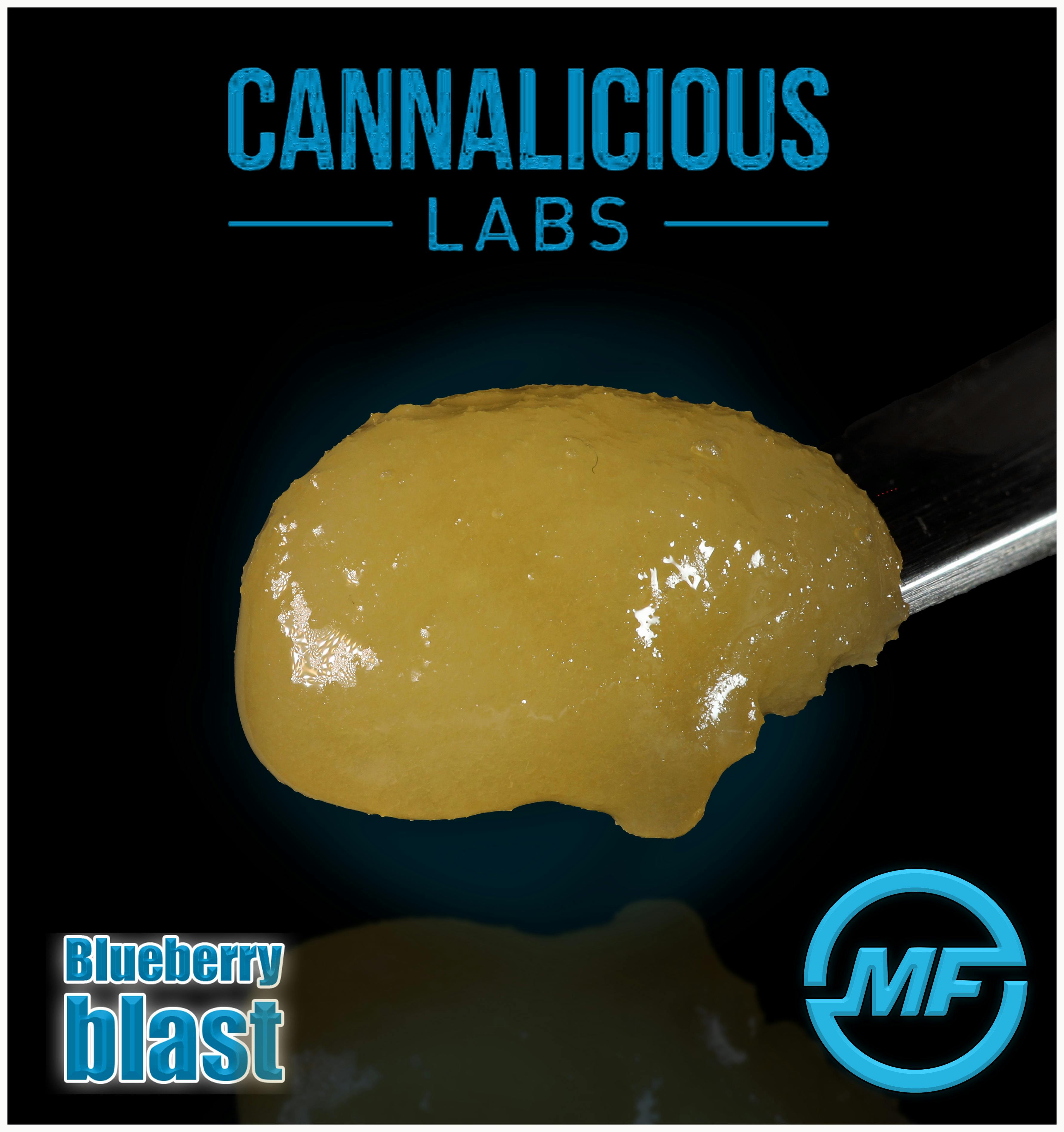 Cannalicious | Blueberry Blast | Live Resin Baller Jar