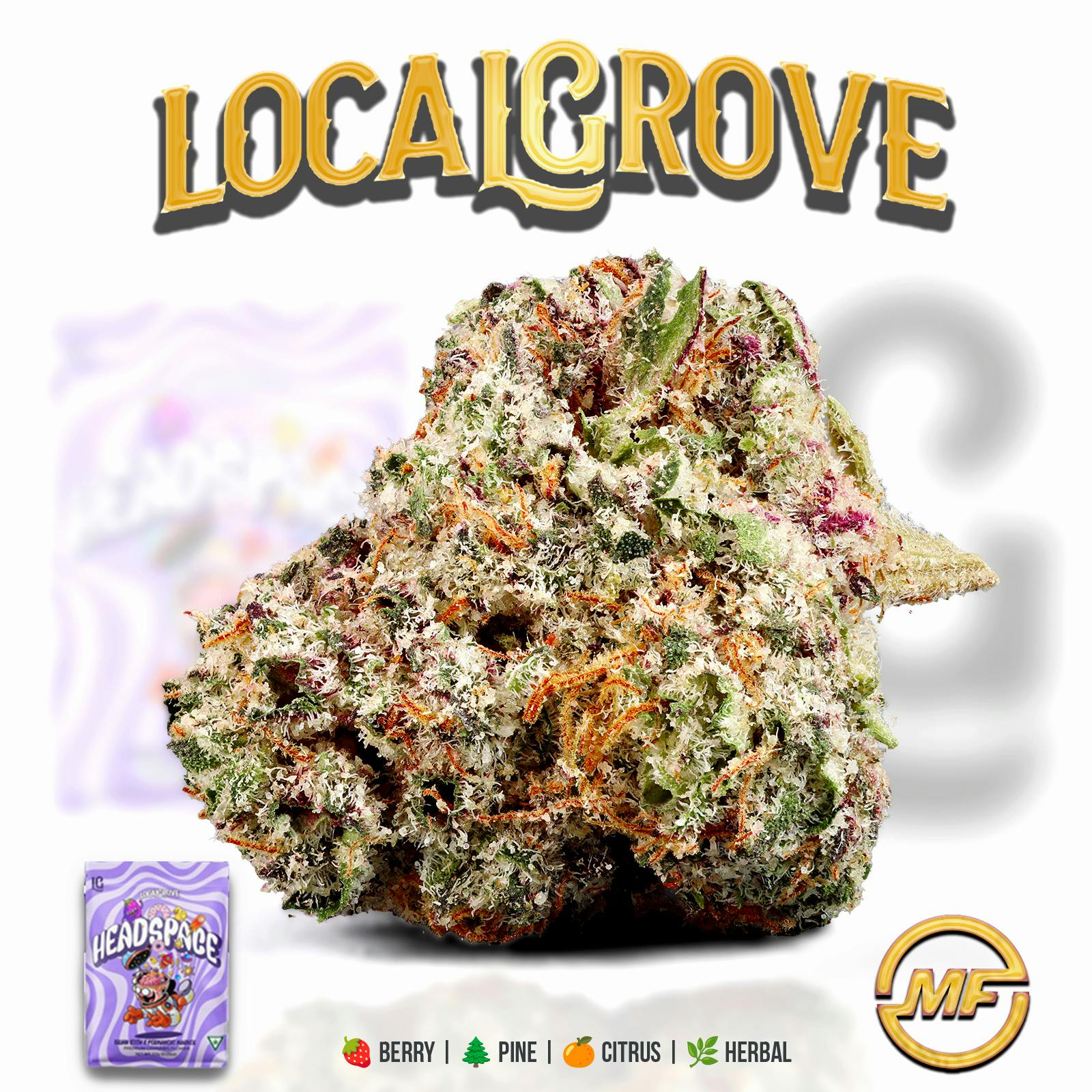 Local Grove | Head Space