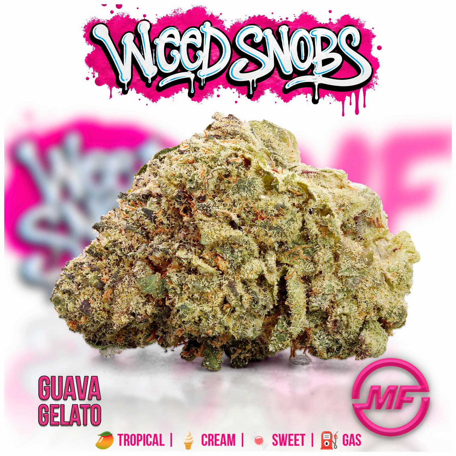 Weed Snobs | Guava Gelato