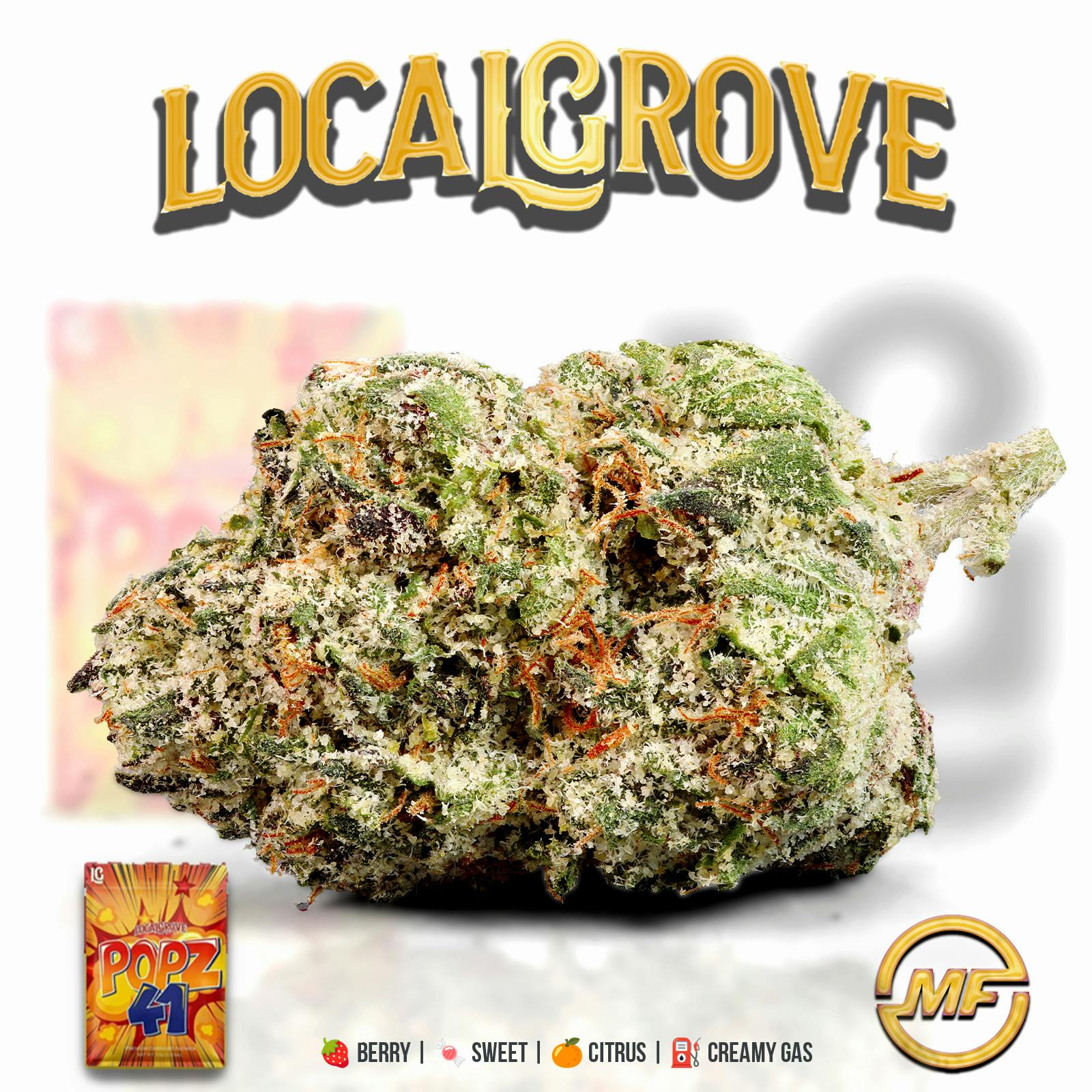 Local Grove | Popz 41