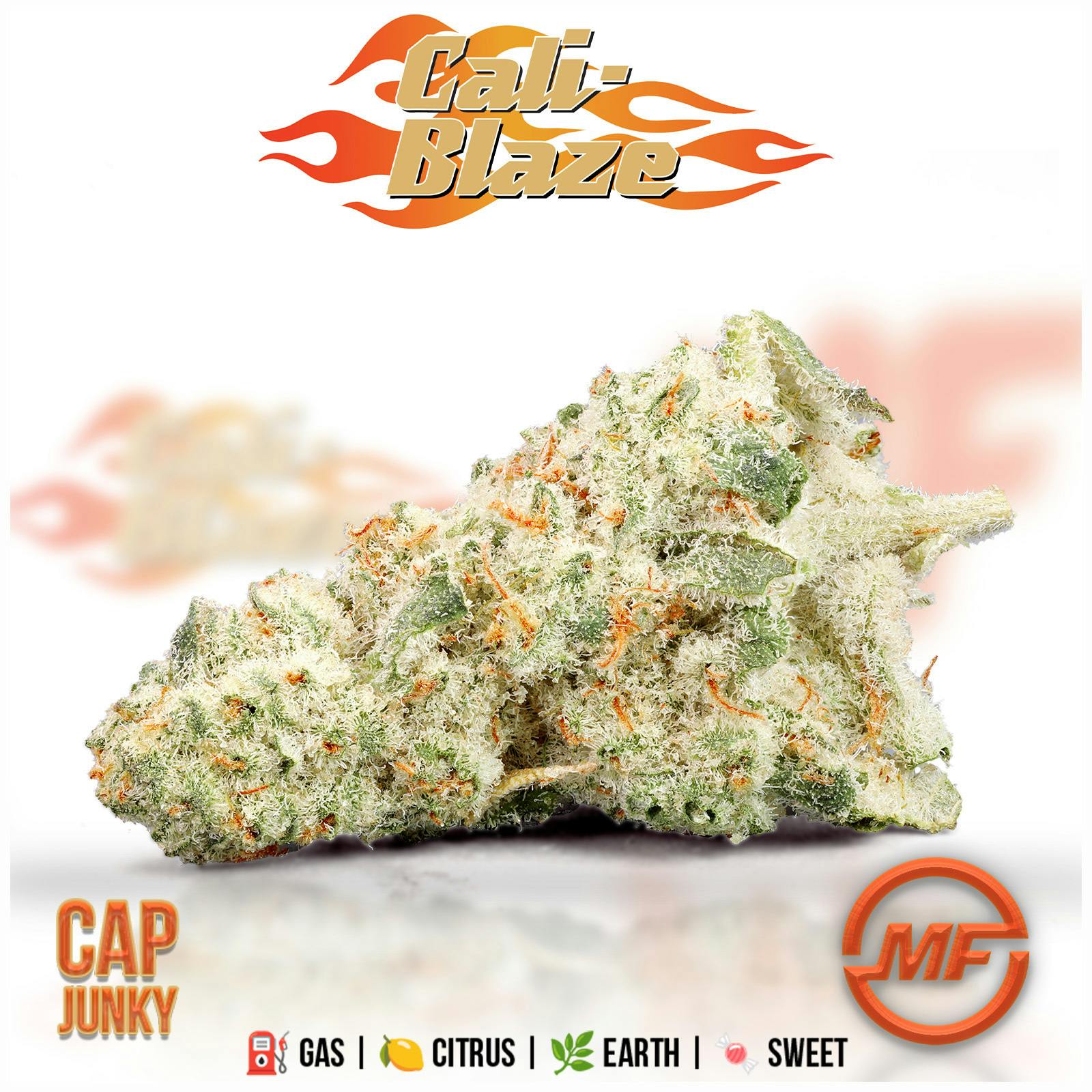 Cali Blaze | Cap Junky
