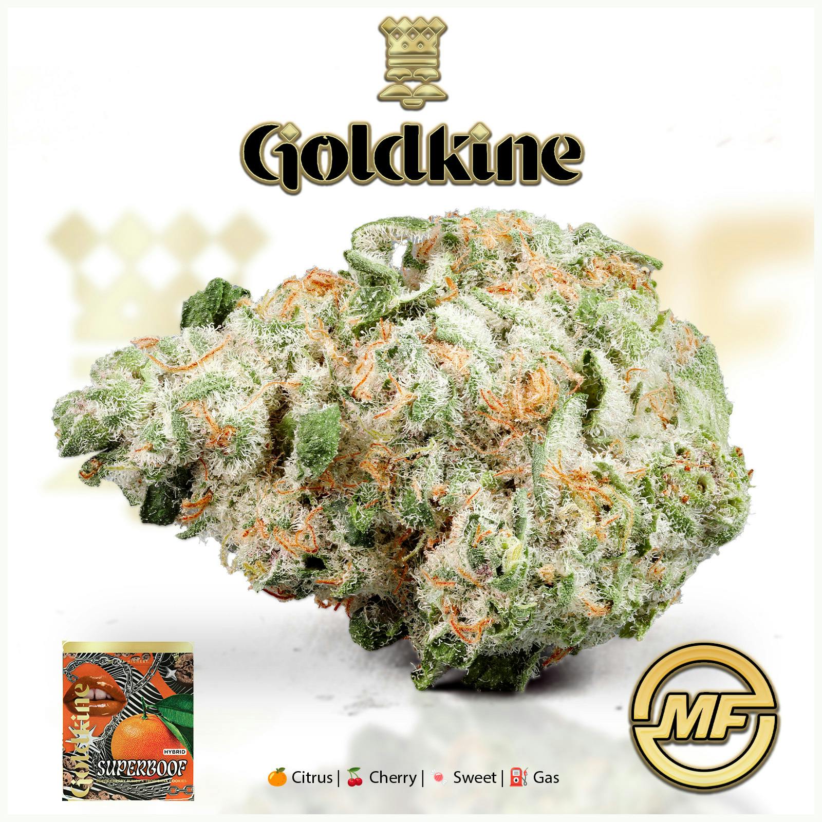 Goldkine | Super Boof | Small Buds