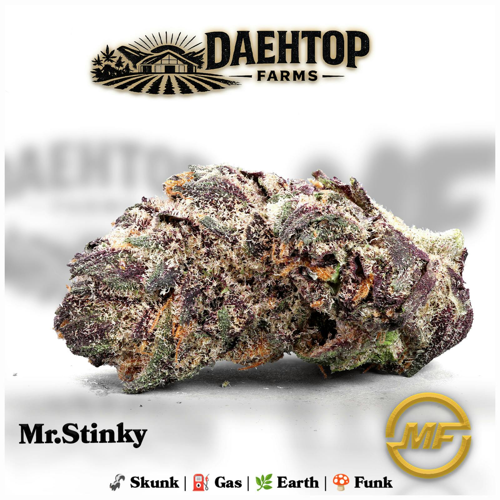 Daehtop Farms | Mr. Stinky