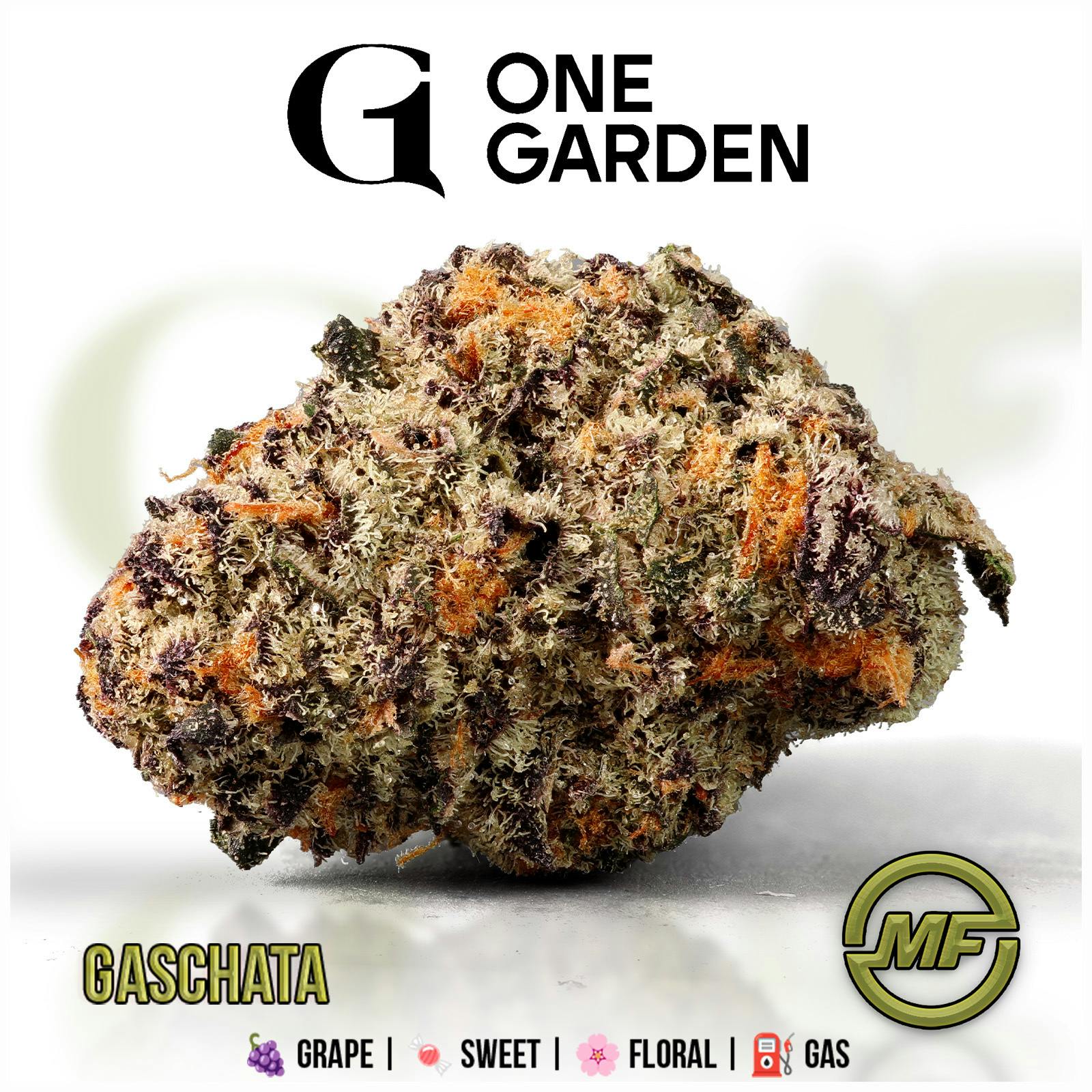 One Garden | Gaschata | Small Buds | Ounce ( 2/$125)