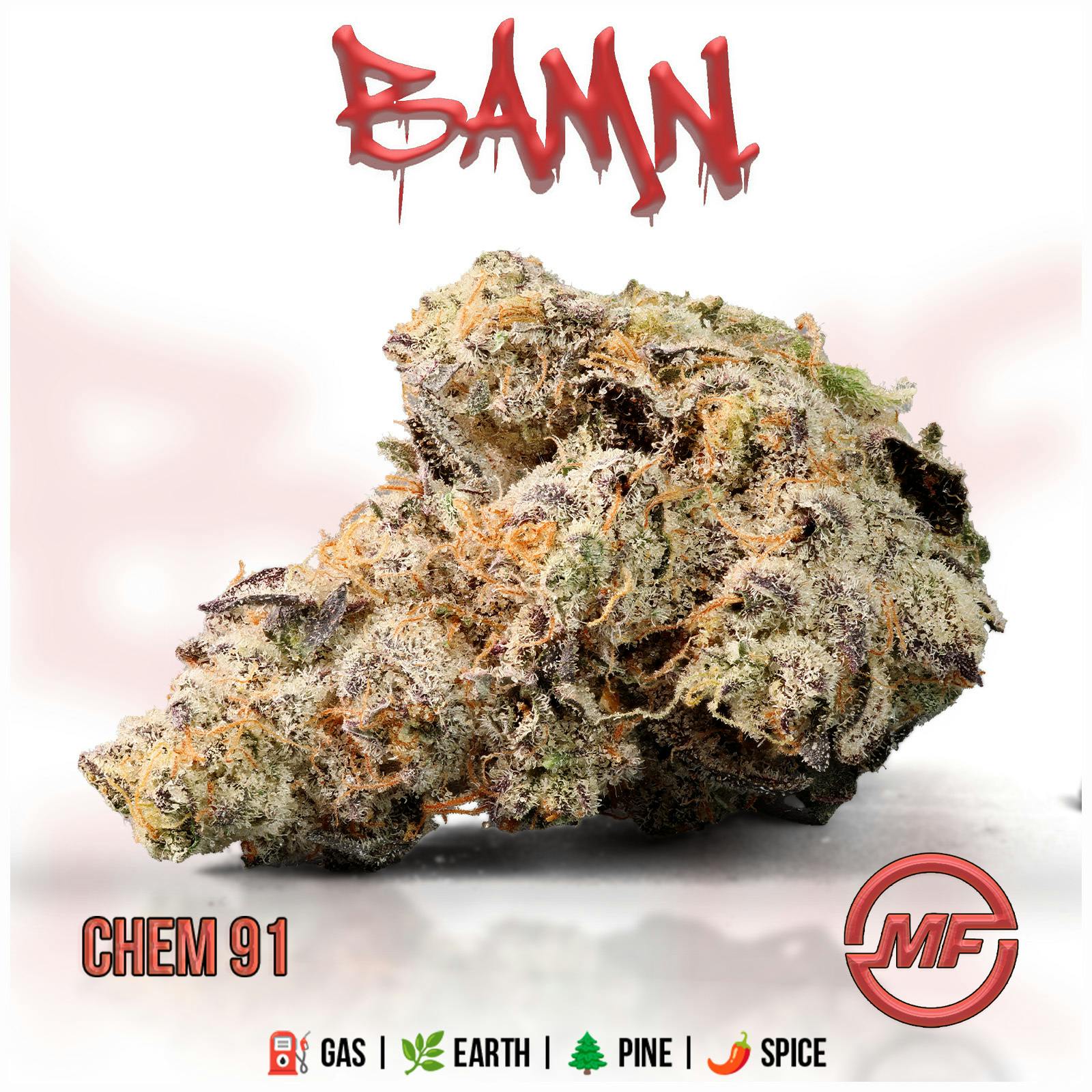 BAMN | Chem 91