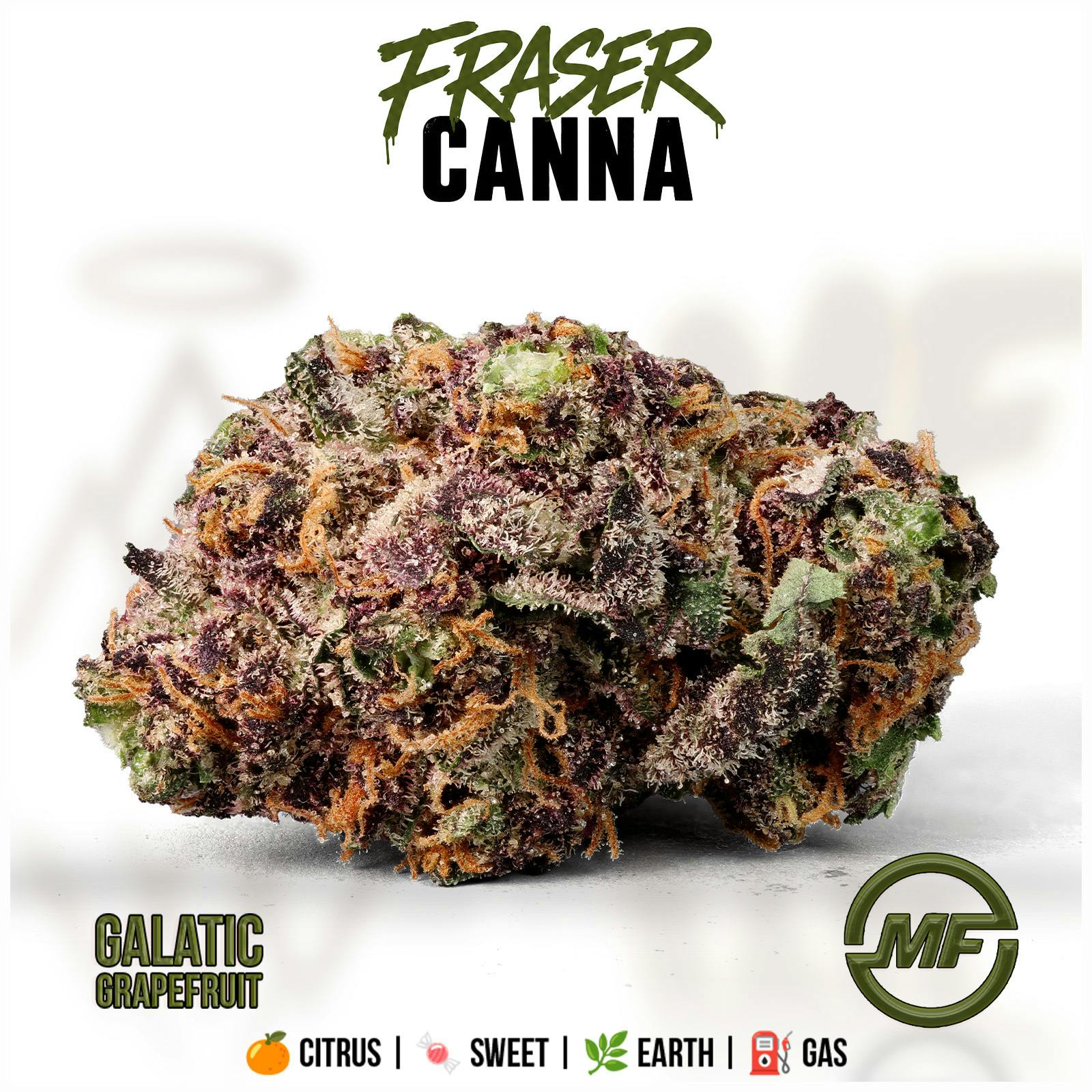 Fraser Cultivation | Galactic Grapefruit