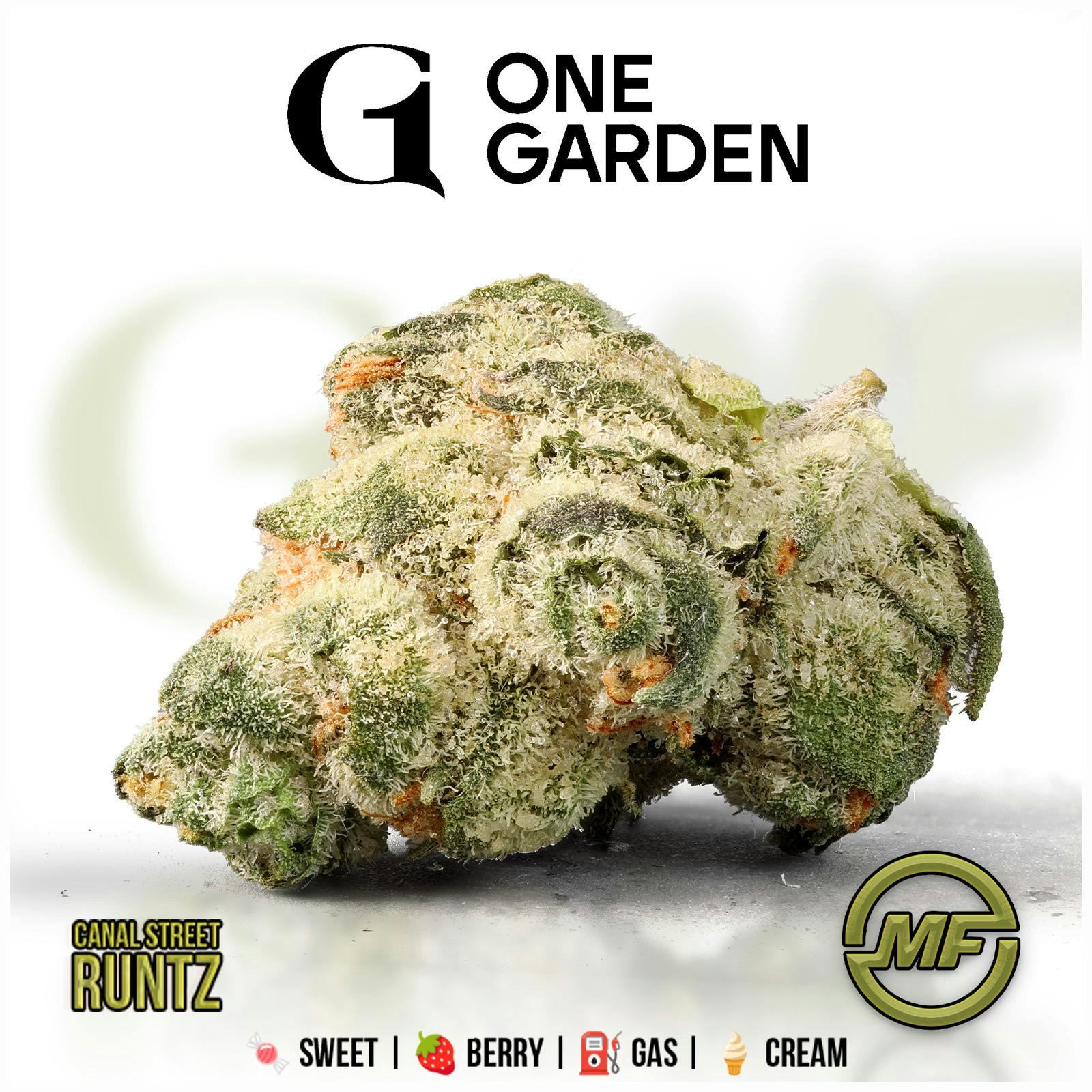 One Garden | Canal Street Runtz