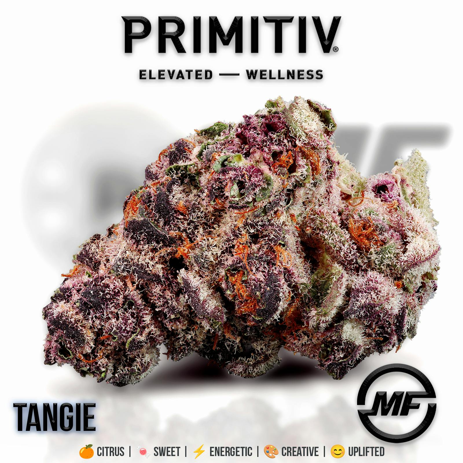 Primitiv | Tangie | Small Buds