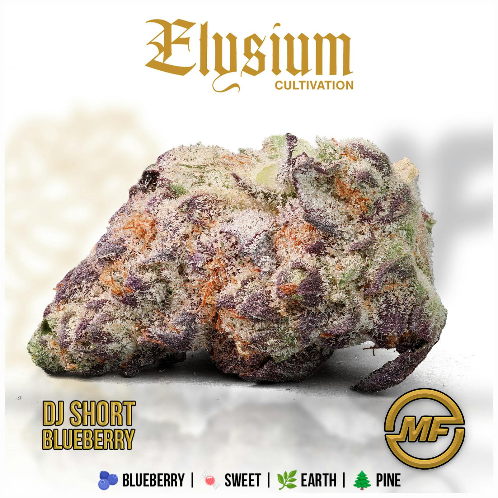 Elysium Cultivation | DJ Short Blueberry