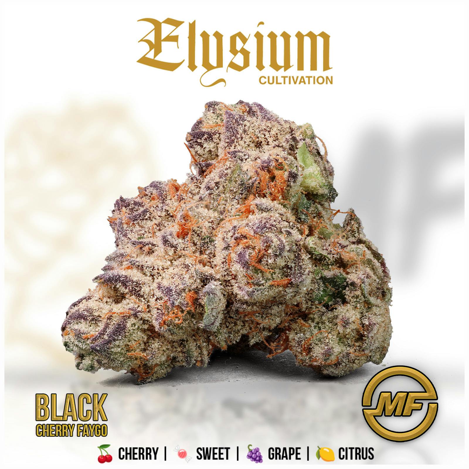 Elysium Cultivation | Black Cherry Faygo
