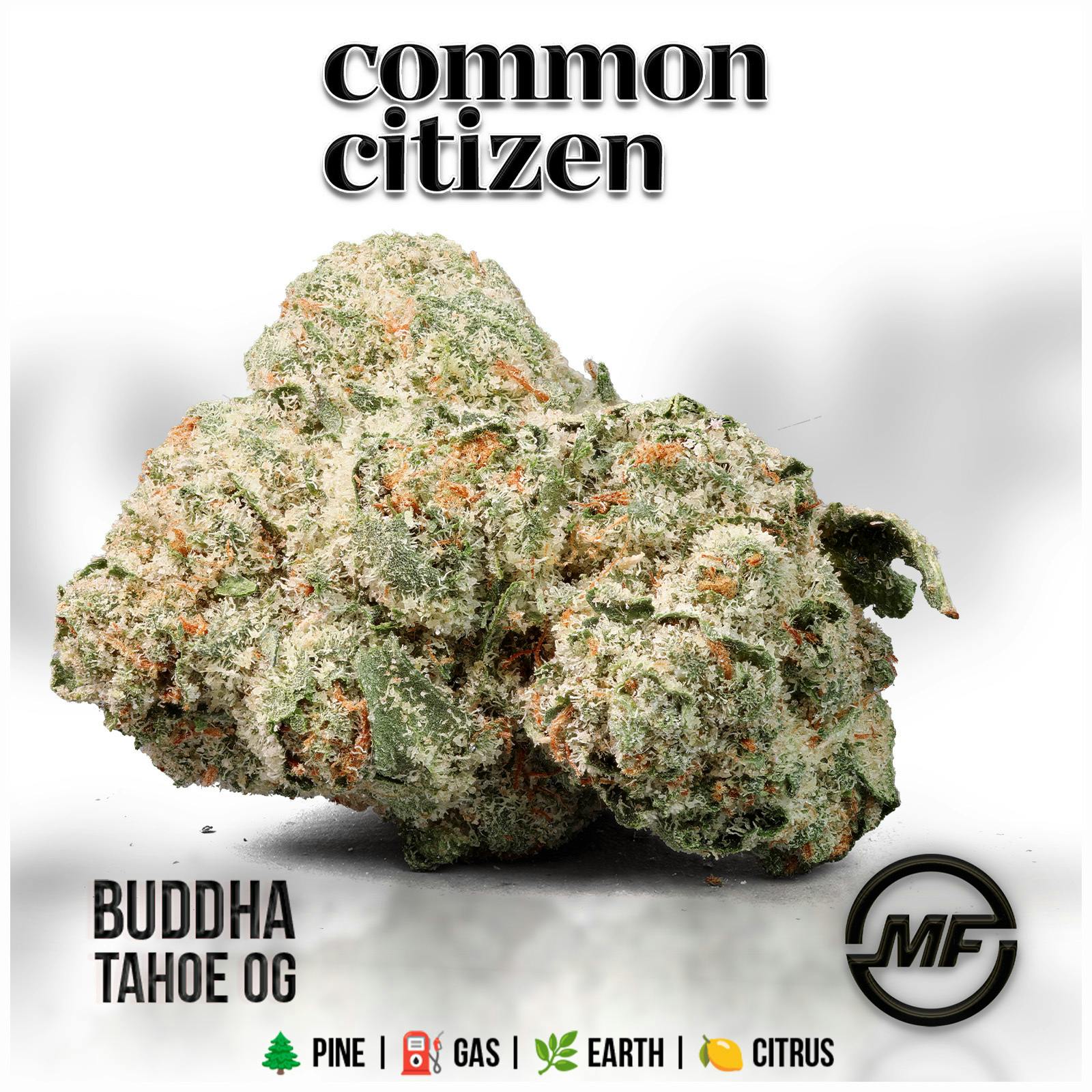 Common Citizen | Buddha Tahoe OG