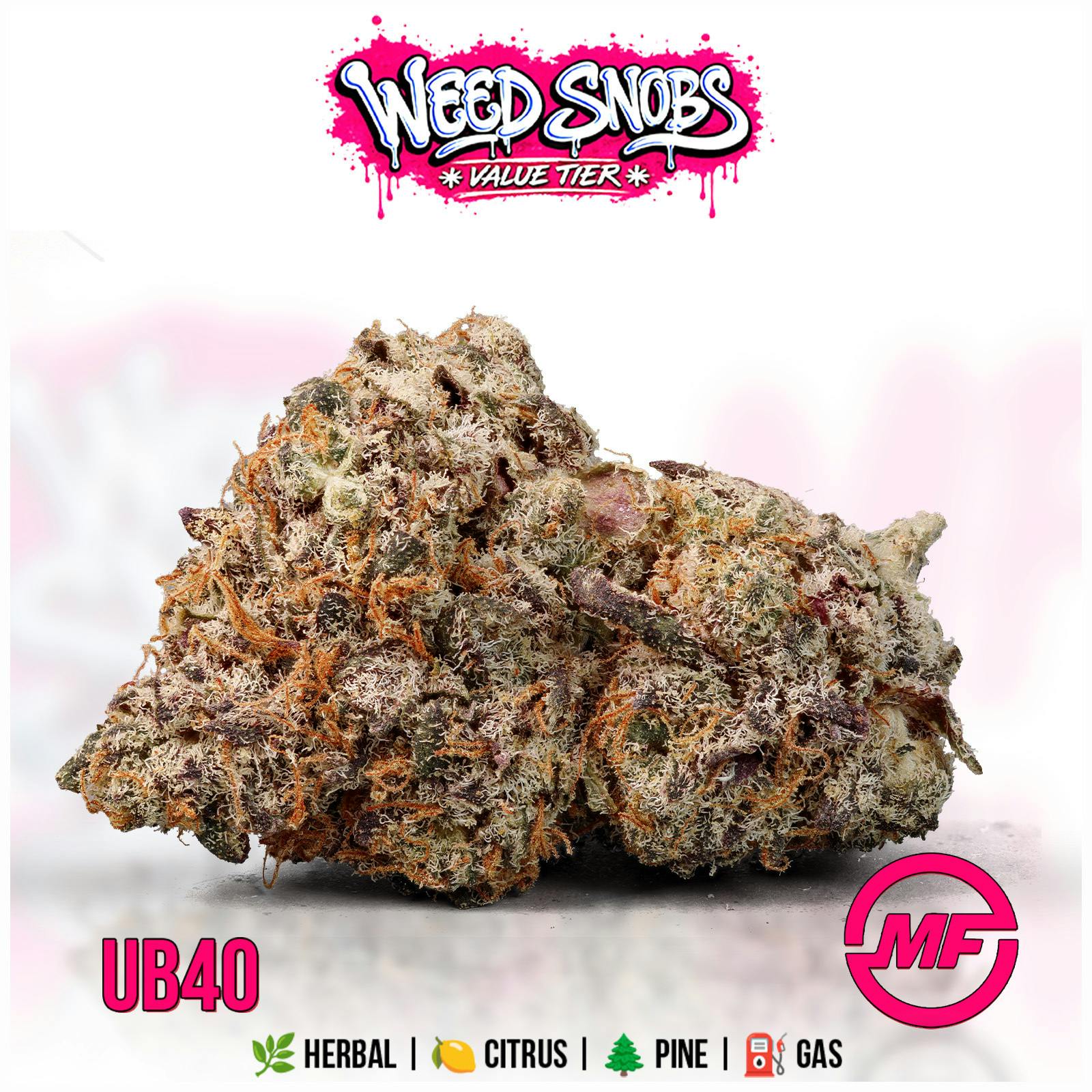 Weed Snobs Value Tier | UB40 | Small Buds