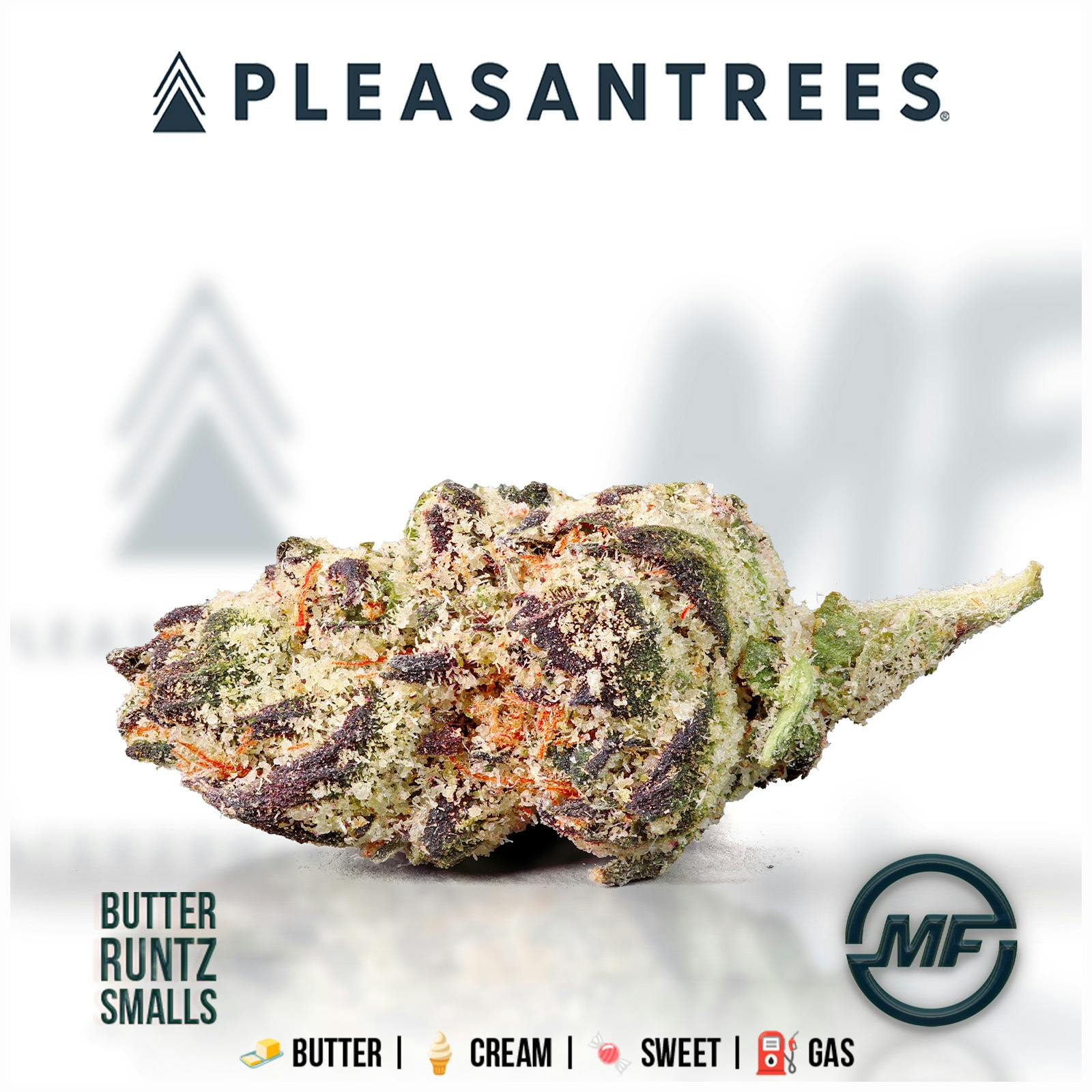 Pleasantrees | Butter Runtz | Smalls