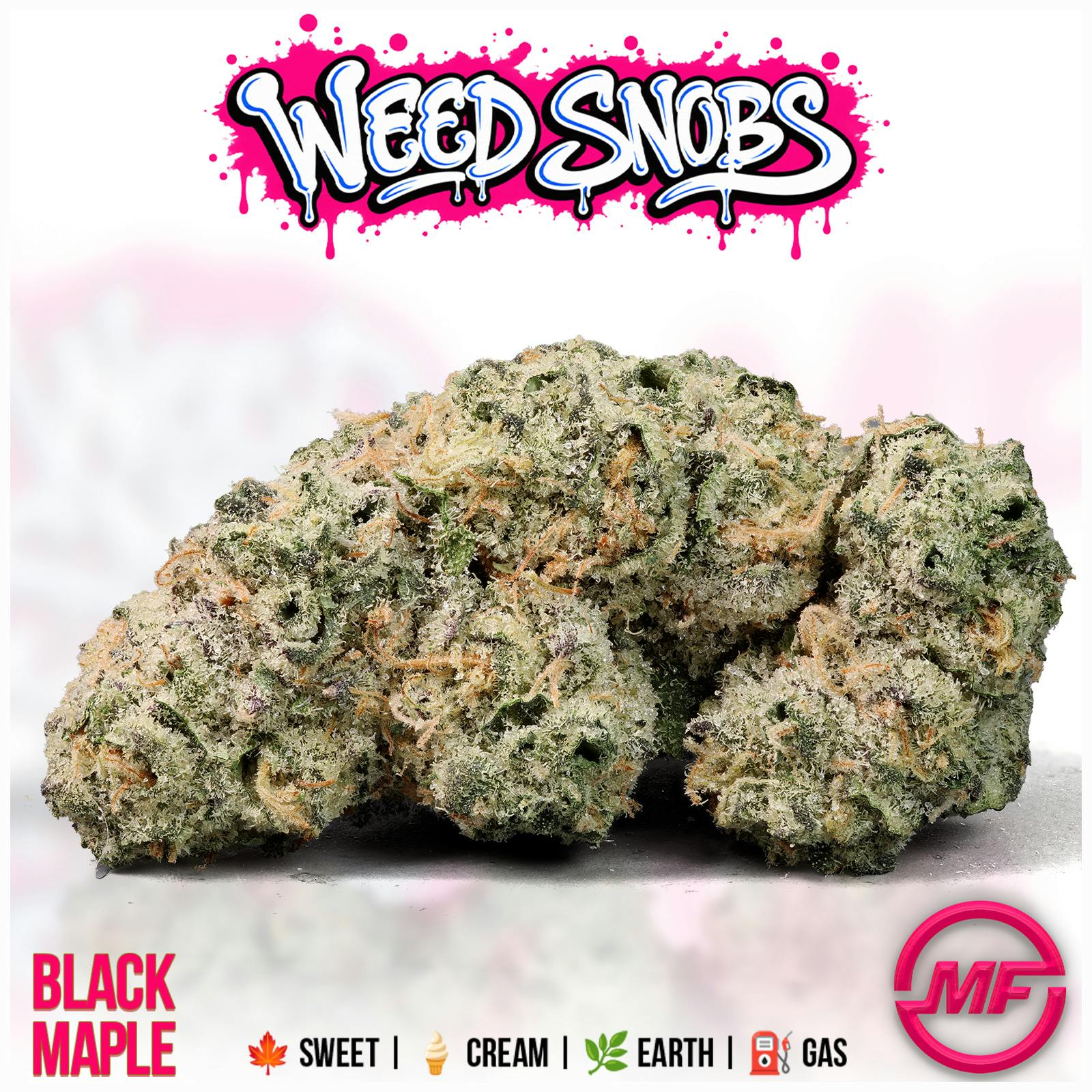 Weed Snobs | Black Maple