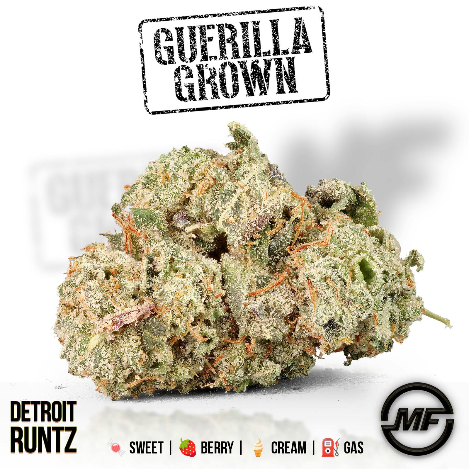 Guerilla Grown | Detroit Runtz