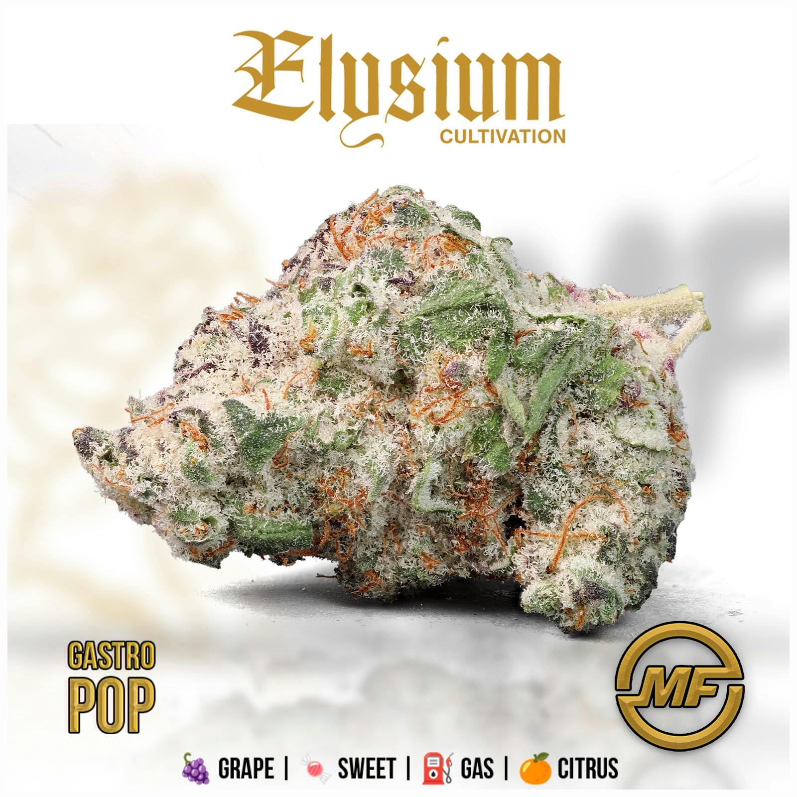 Elysium Cultivation | Gastro Pop