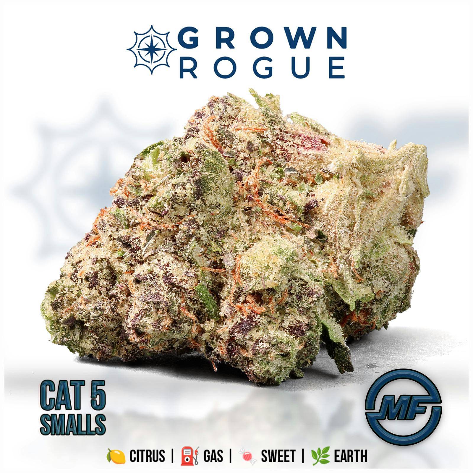 Grown Rogue | Category 5 | Smalls