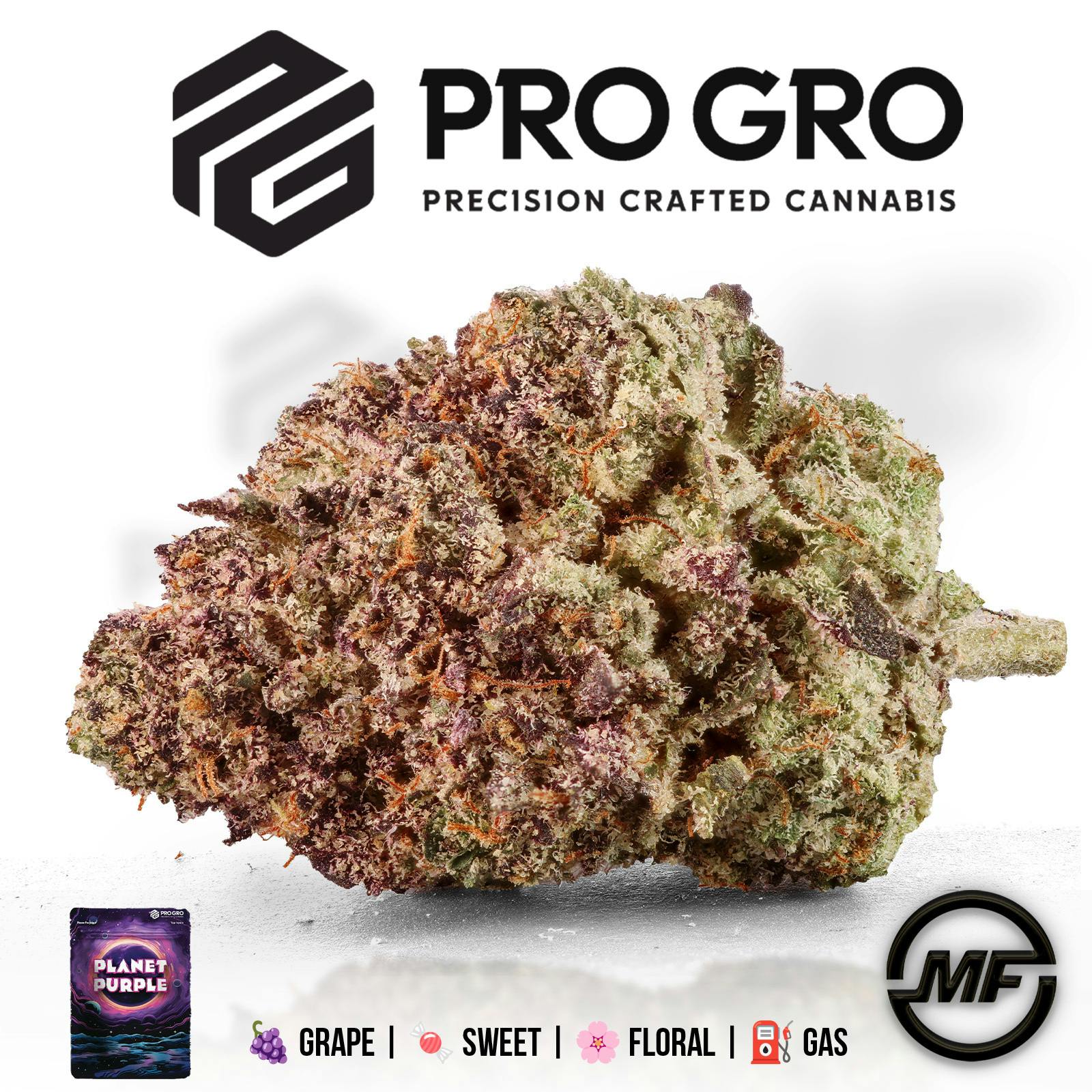Pro Gro | Planet Purple