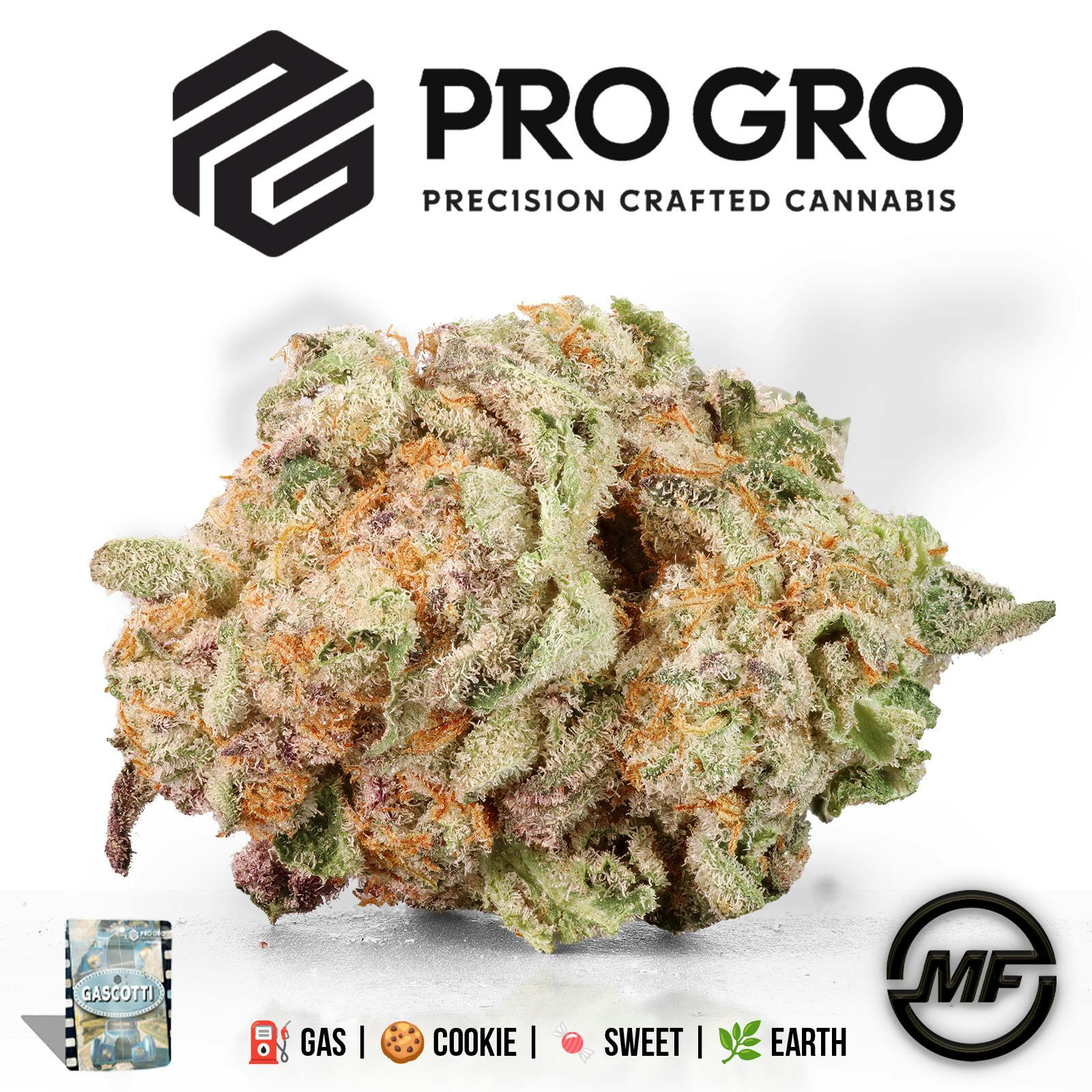 Pro Gro | Gascotti