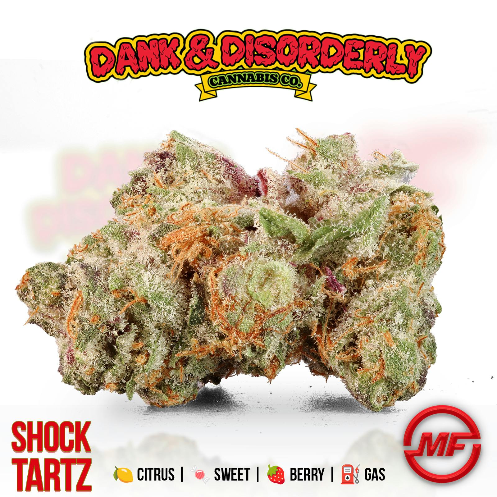 Dank & Disorderly | Sherb Z | Half Ounce Jar