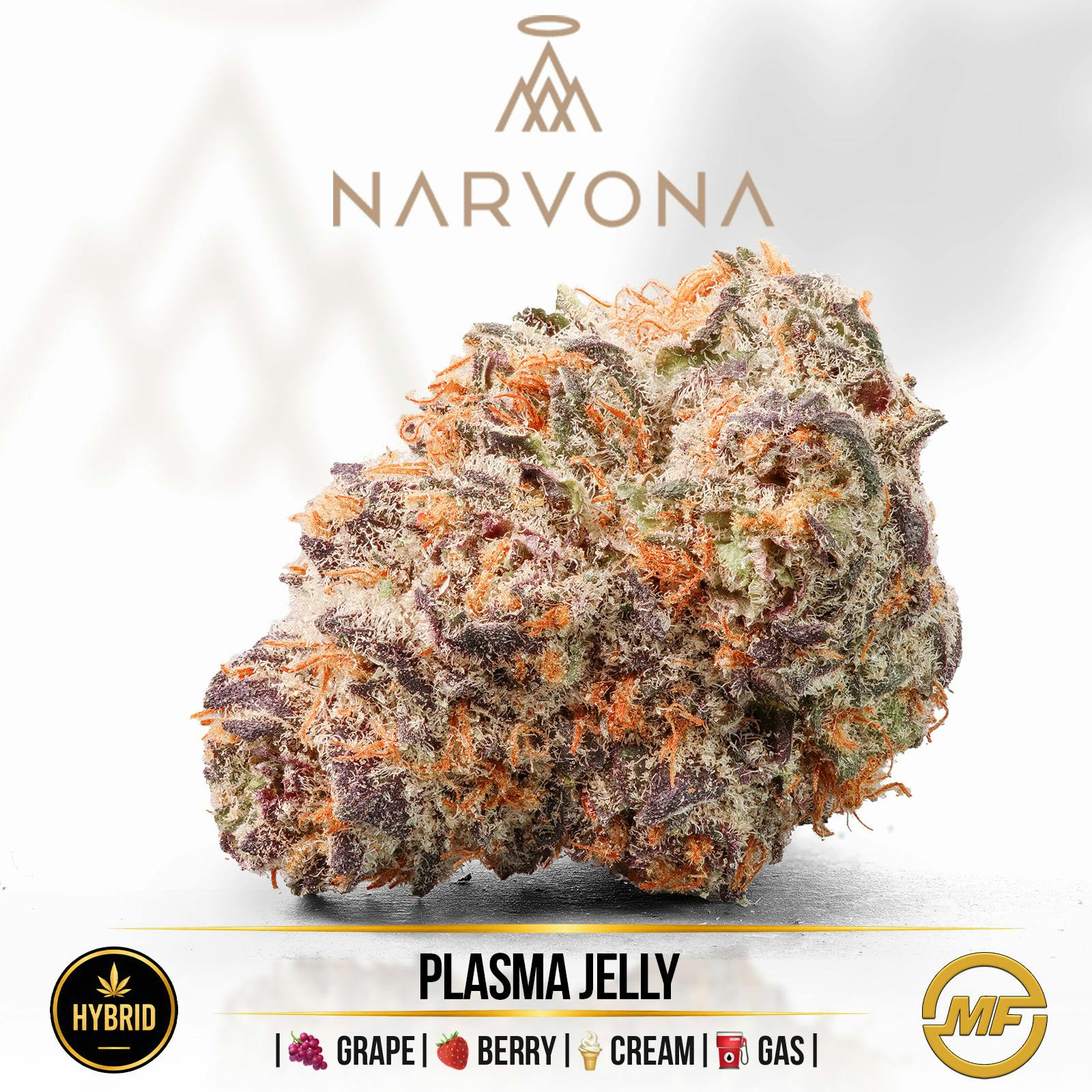 Narvona | Plasma Jelly