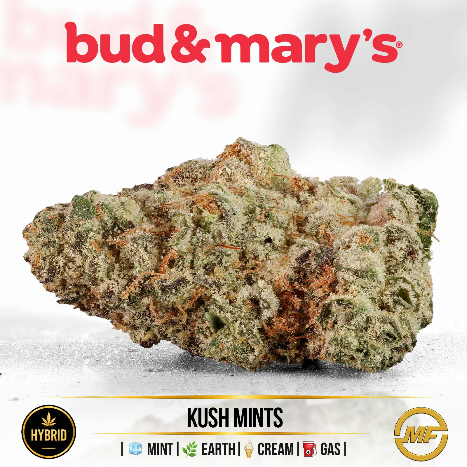 Bud & Mary's | Kush Mintz