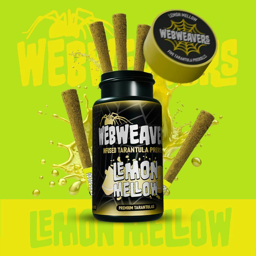 Webweavers | Lemon Mellow | 5-Pack Mini Tarantulas