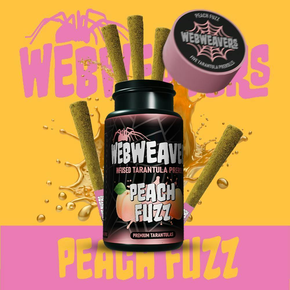 Webweavers | Peach Fuzz | 5-Pack Mini Tarantulas