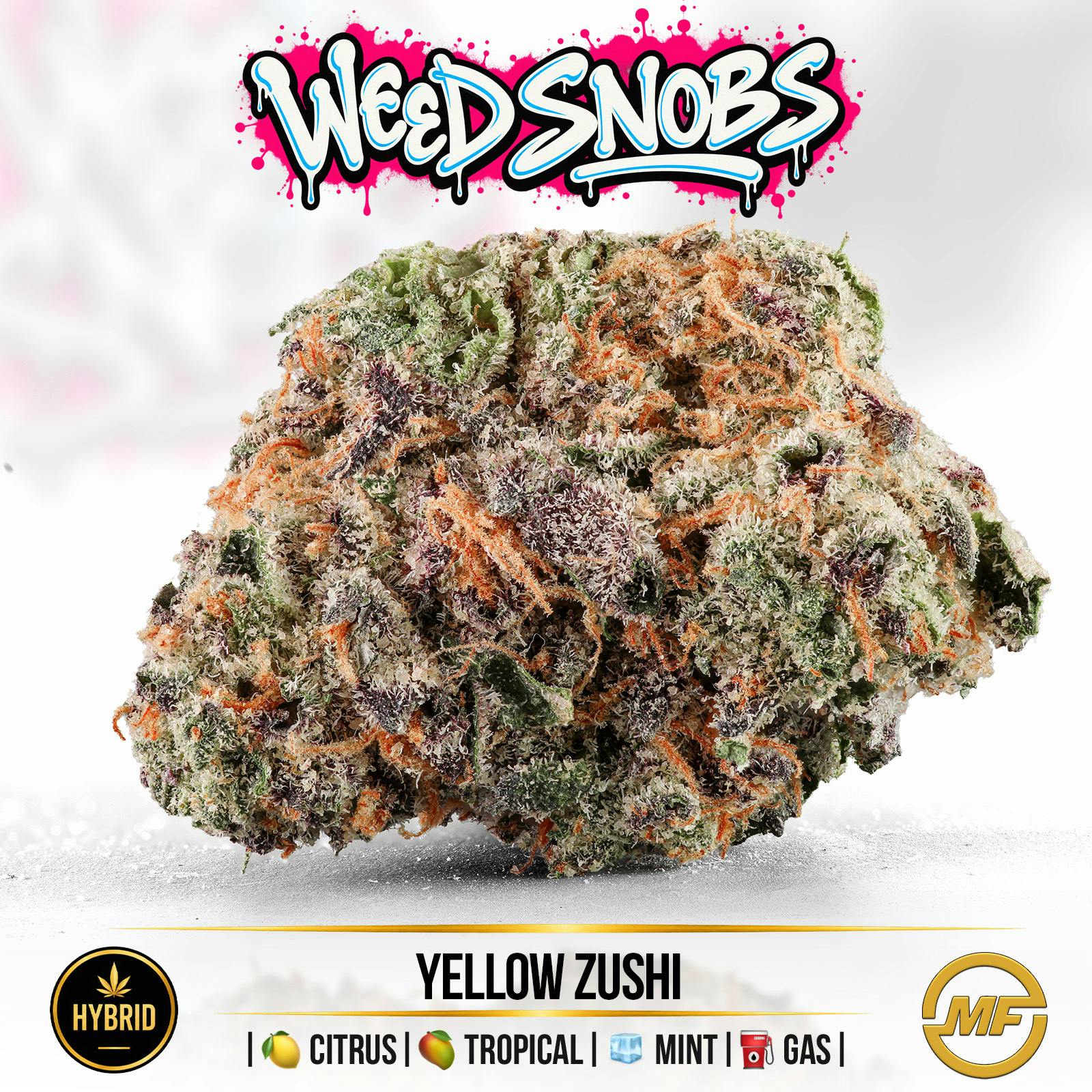 Weed Snobs | Yellow Zushi