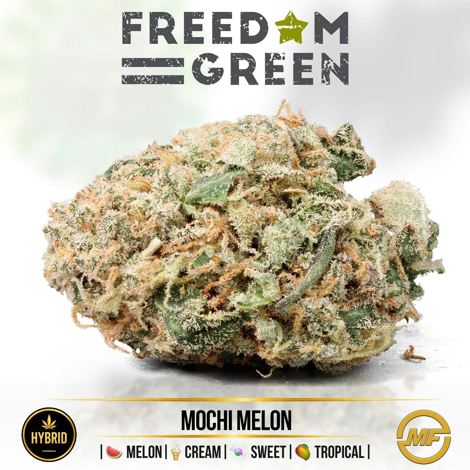 Freedom Green | Mochi Melon