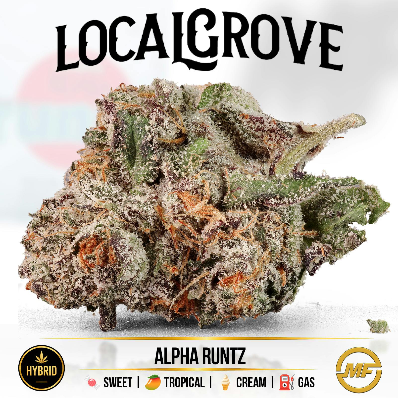 Local Grove | Alpha Runtz