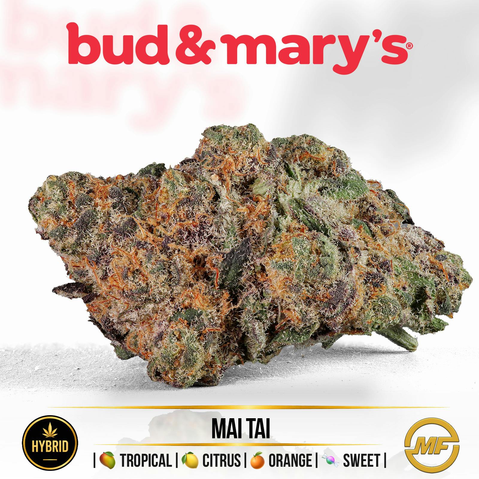 Bud & Mary's | Mai Tai