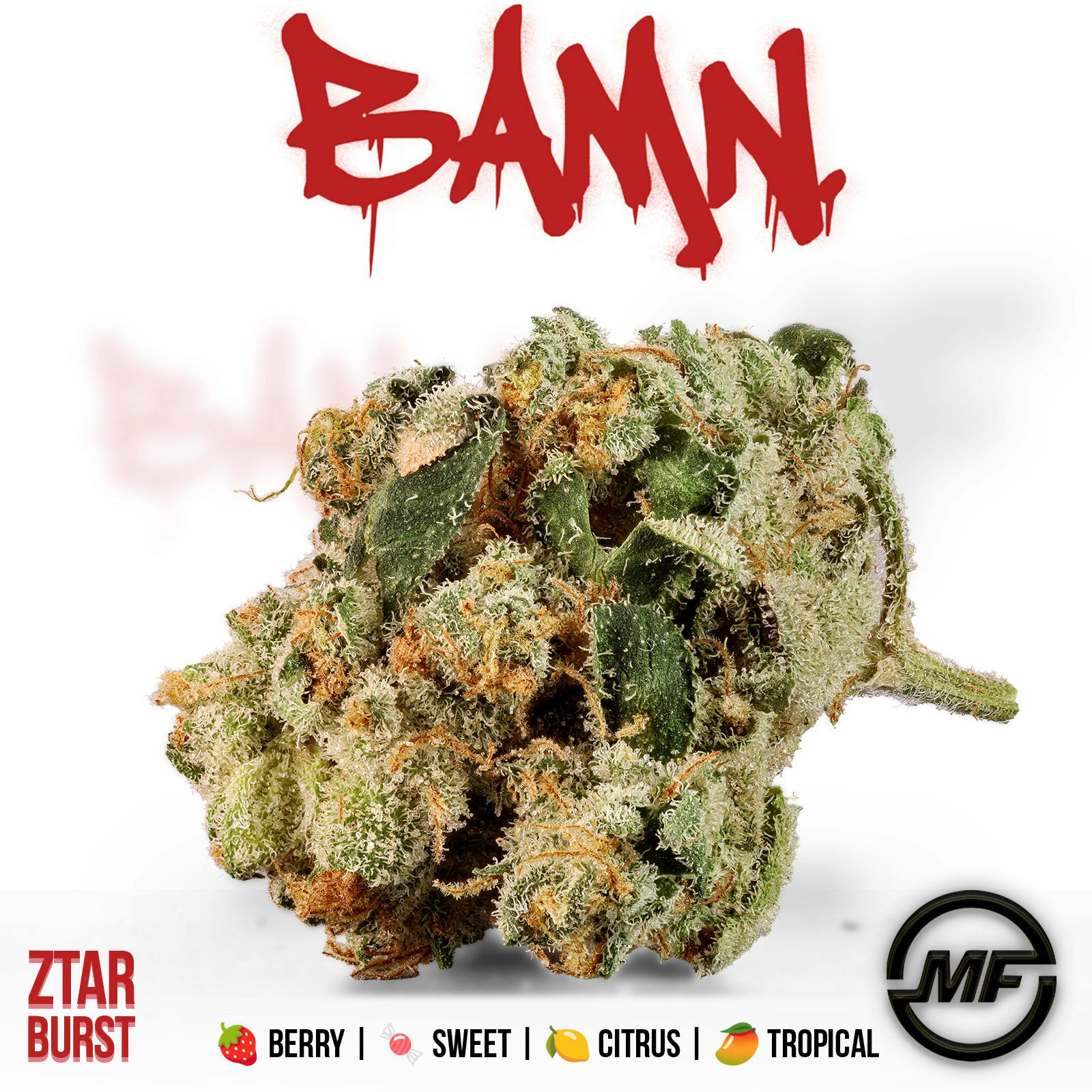 BAMN | Ztarburst