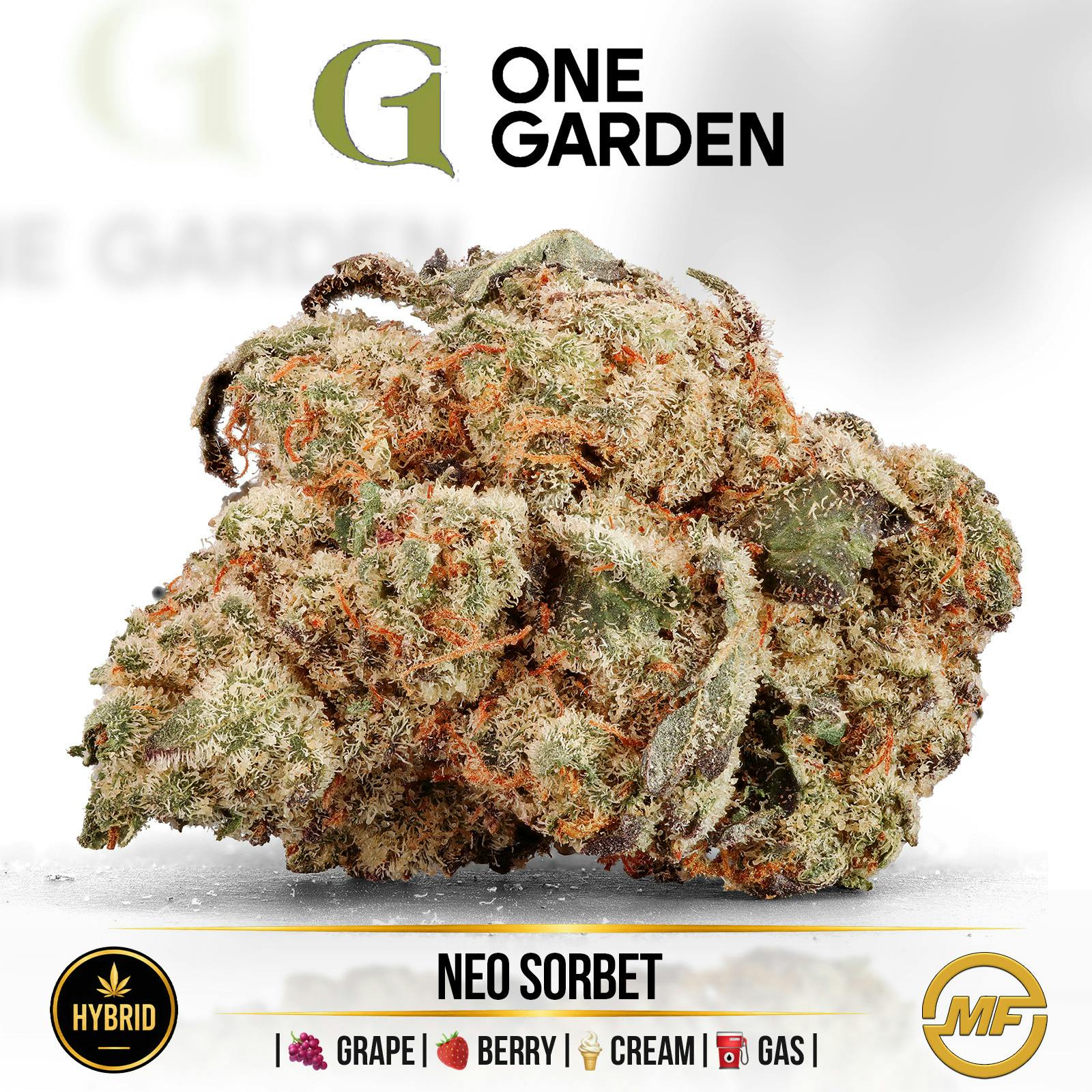 One Garden | Neo Sorbet | Small Buds | Ounce (2/$125)