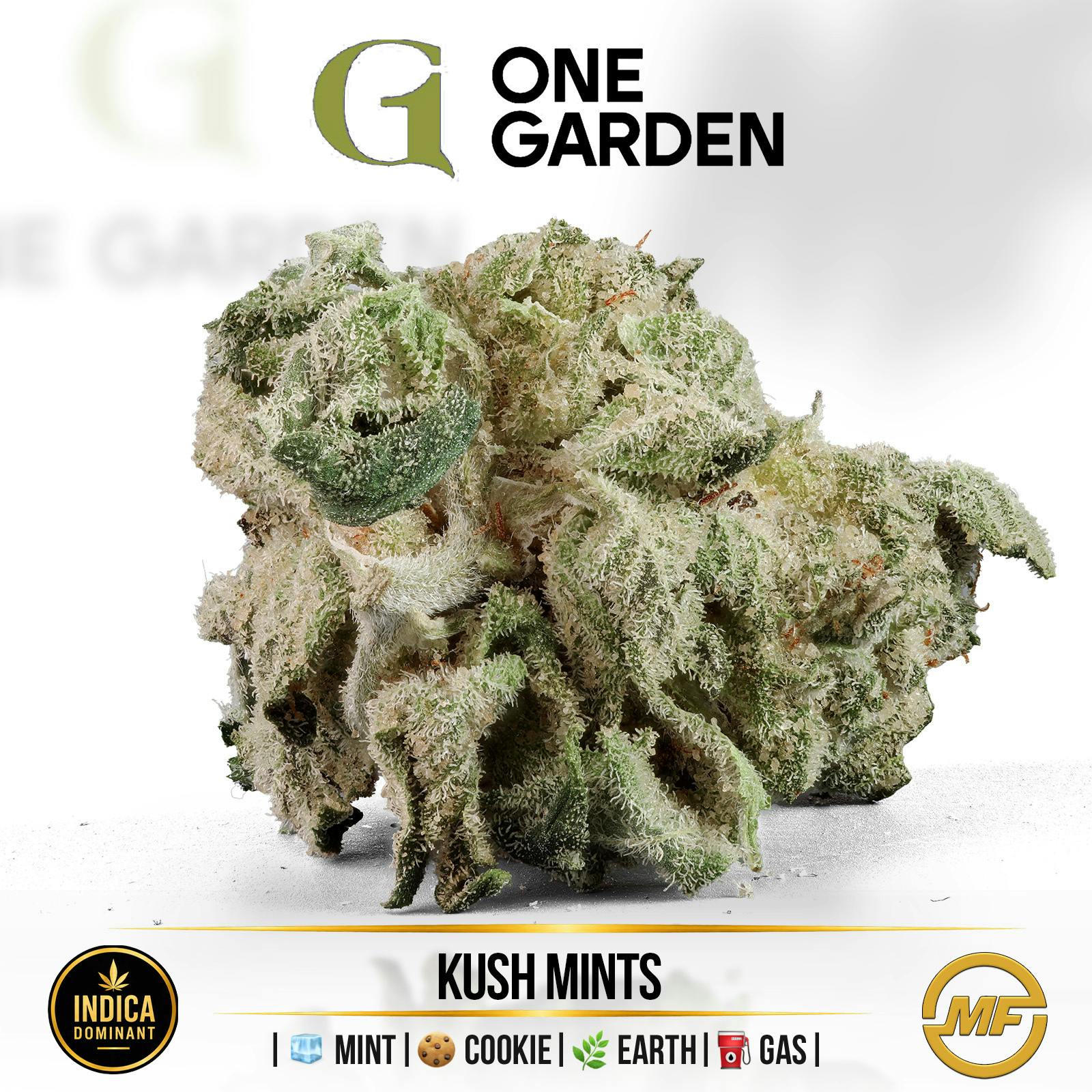 One Garden | Kush Mints | Small Buds | Ounce (2/$125)