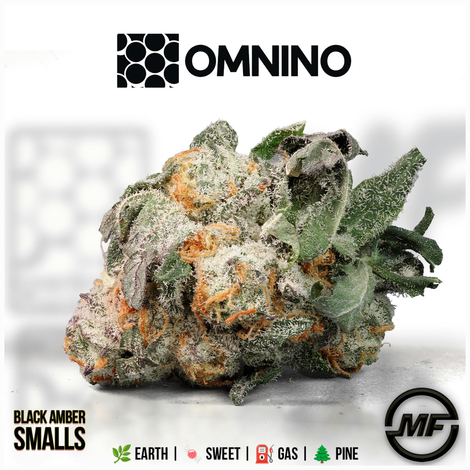 Omnino | Black Amber | Small Buds