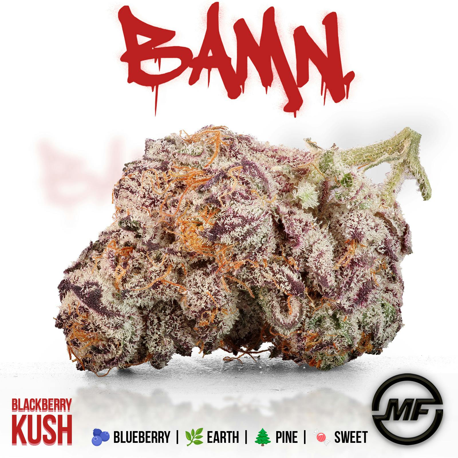 BAMN | Blackberry Kush