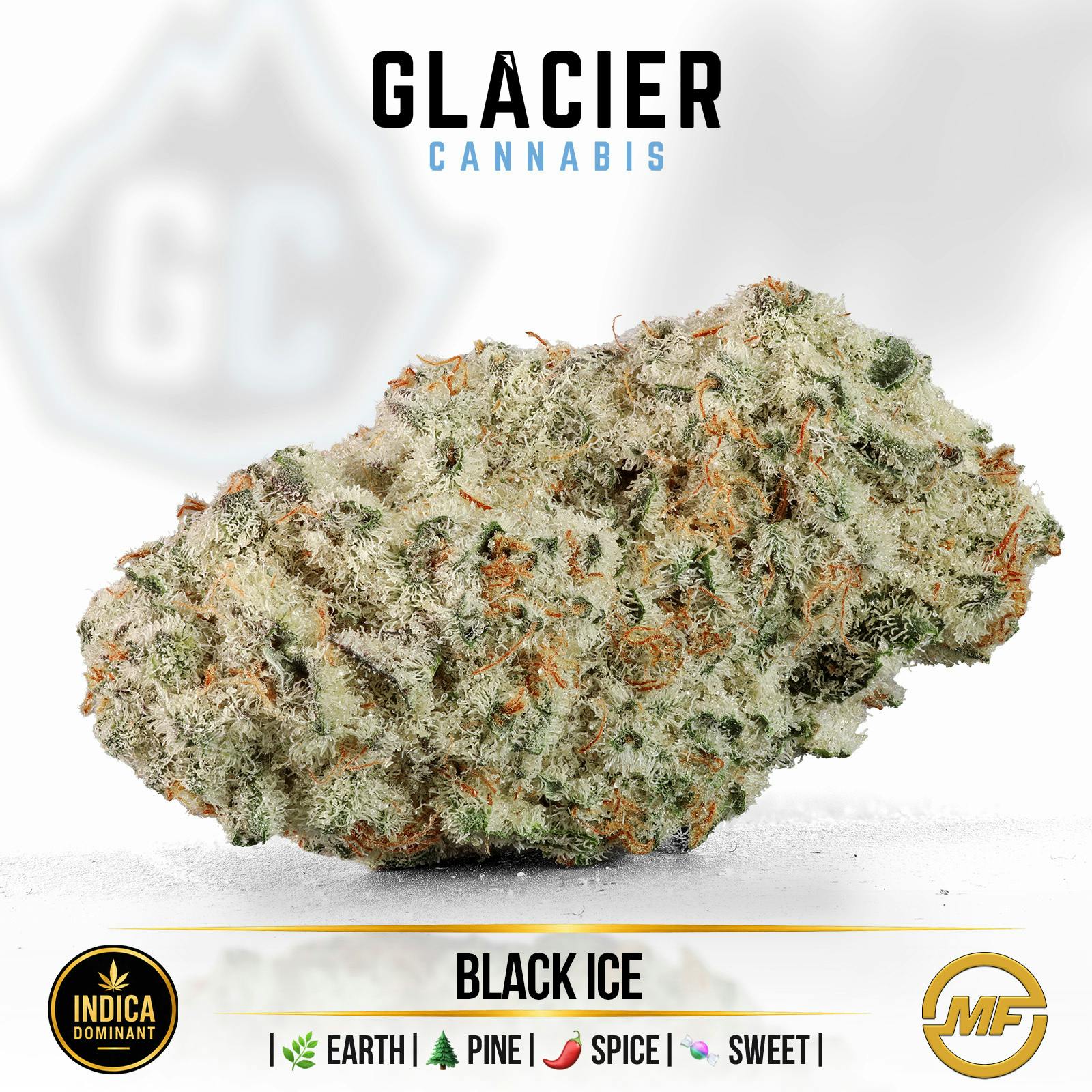 Glacier Cannabis | Black Ice | Small Buds