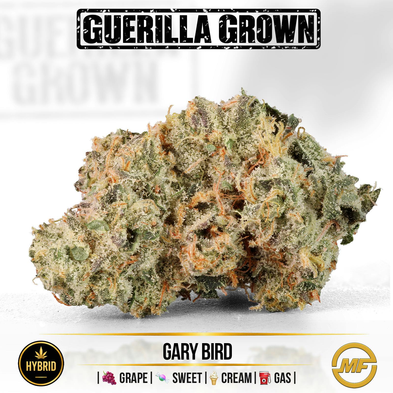 Guerilla Grown | Gary Bird
