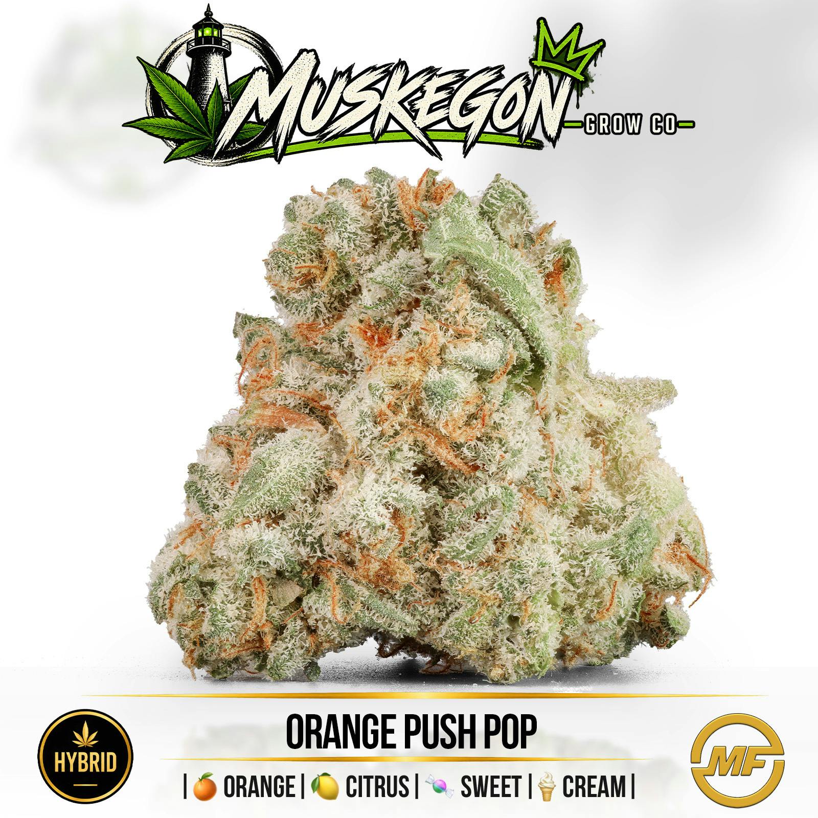 Muskegon Grow | Orange Push Pop #7