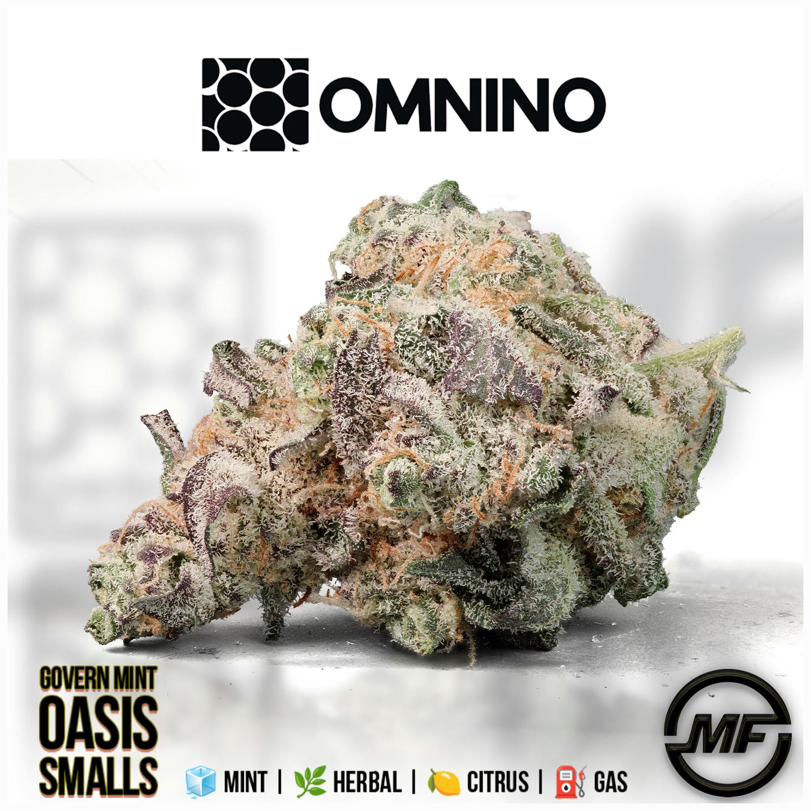 Omnino | Govern Mint Oasis