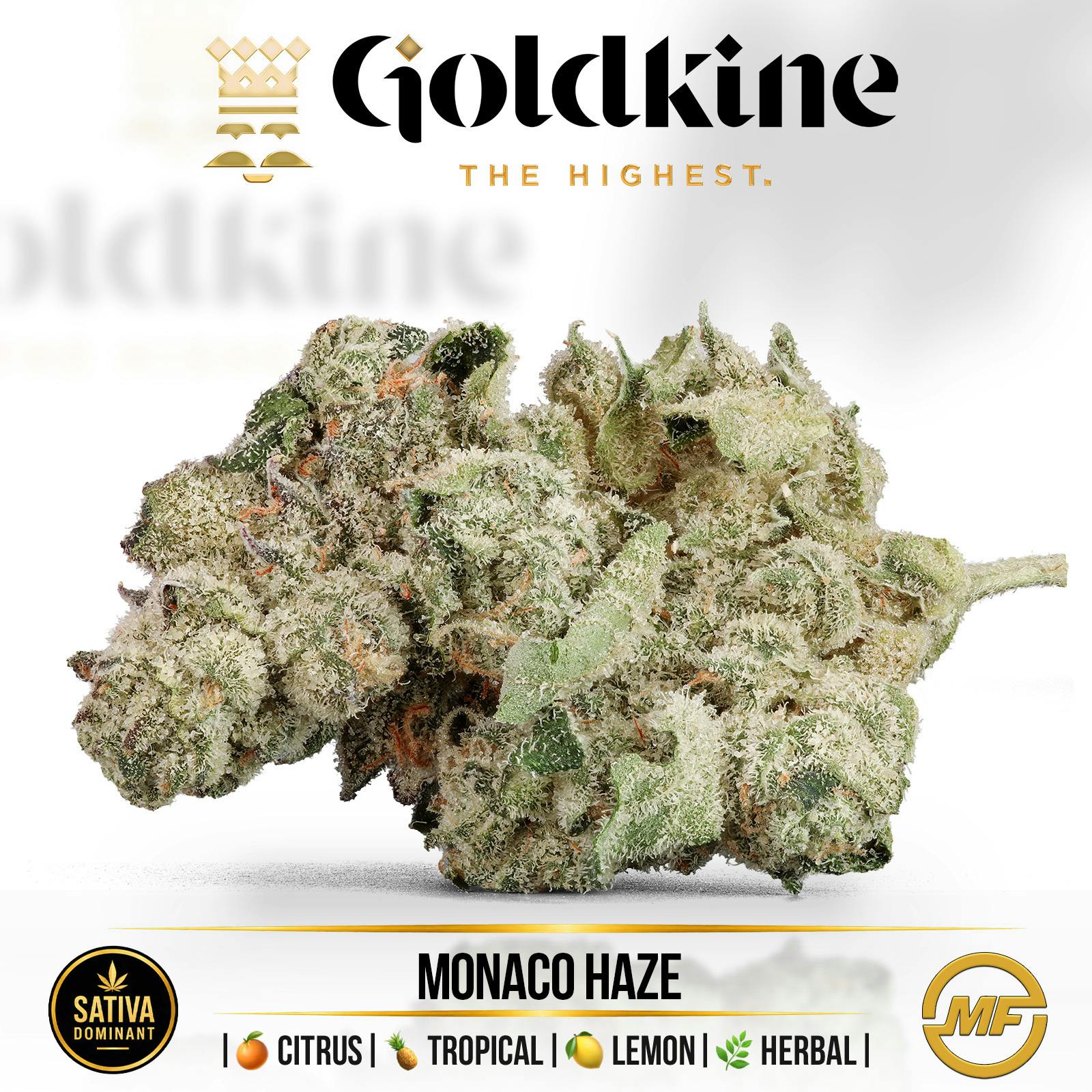 Goldkine | Monaco Haze