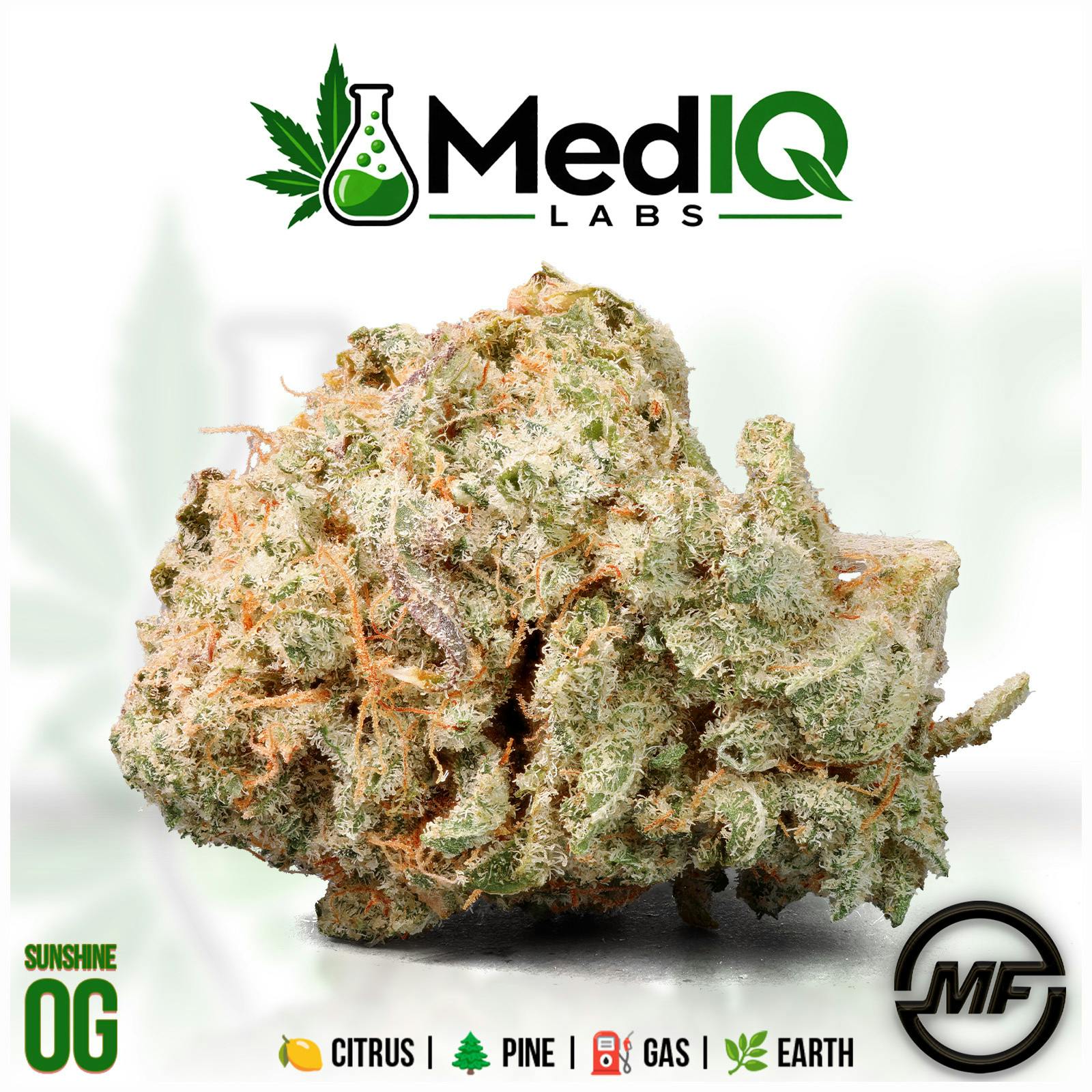 Med IQ Labs | Sunshine OG