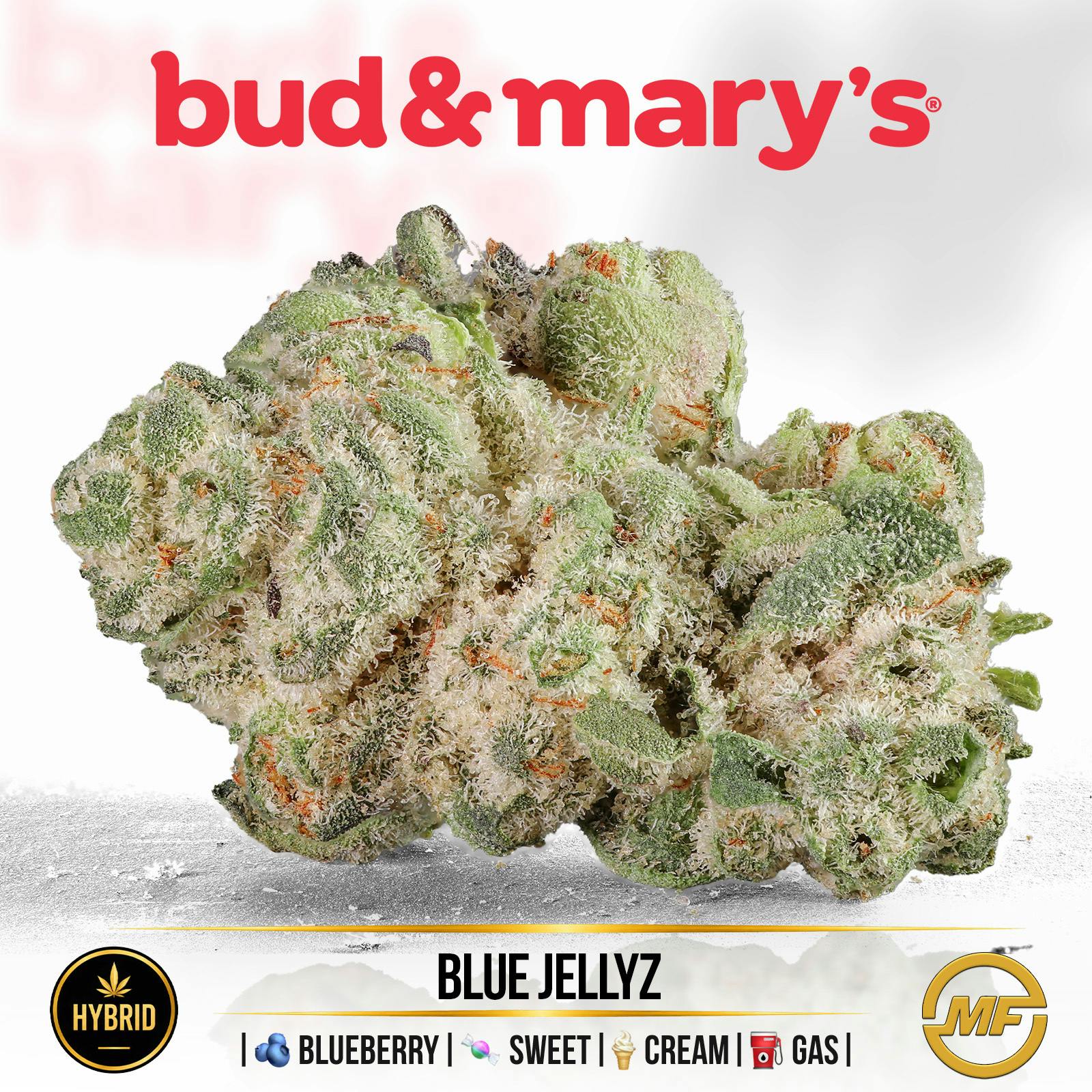 Bud & Mary's | Blue Jellyz | Small Buds