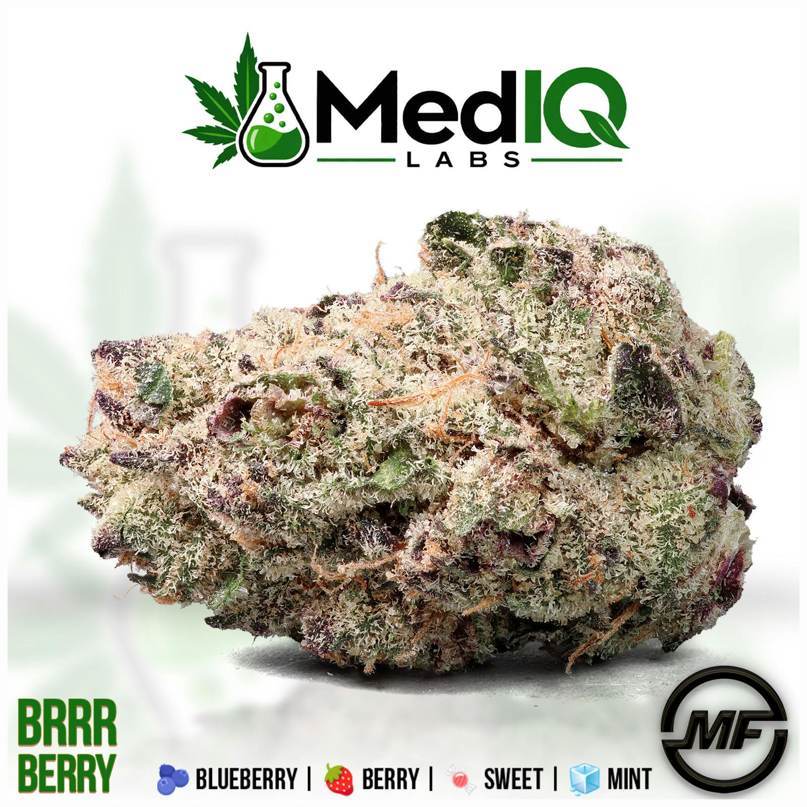 Med IQ Labs | Brrrberry