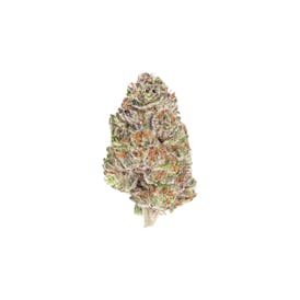 Bloom County-Small Bud-Super Lemon Haze (S)