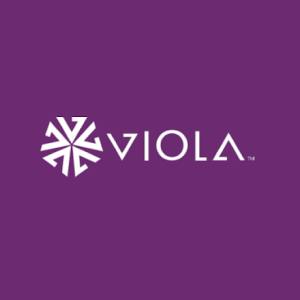 Viola-Small Bud-Daily Grapes (I)